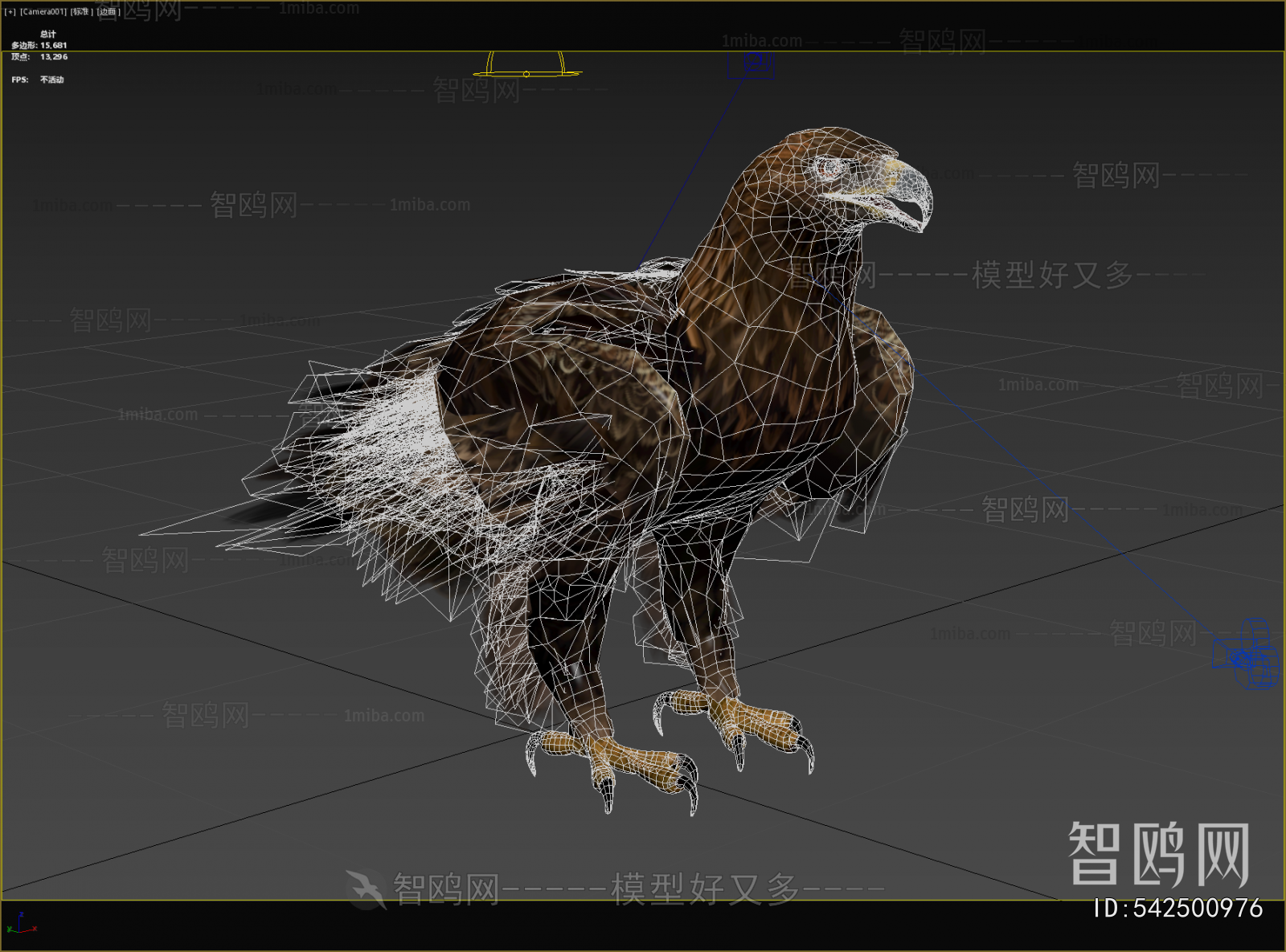 Modern Flying Animals