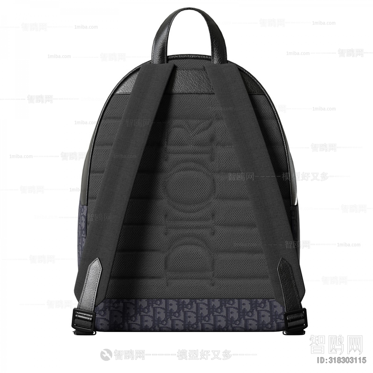 Modern Backpack And Backpack