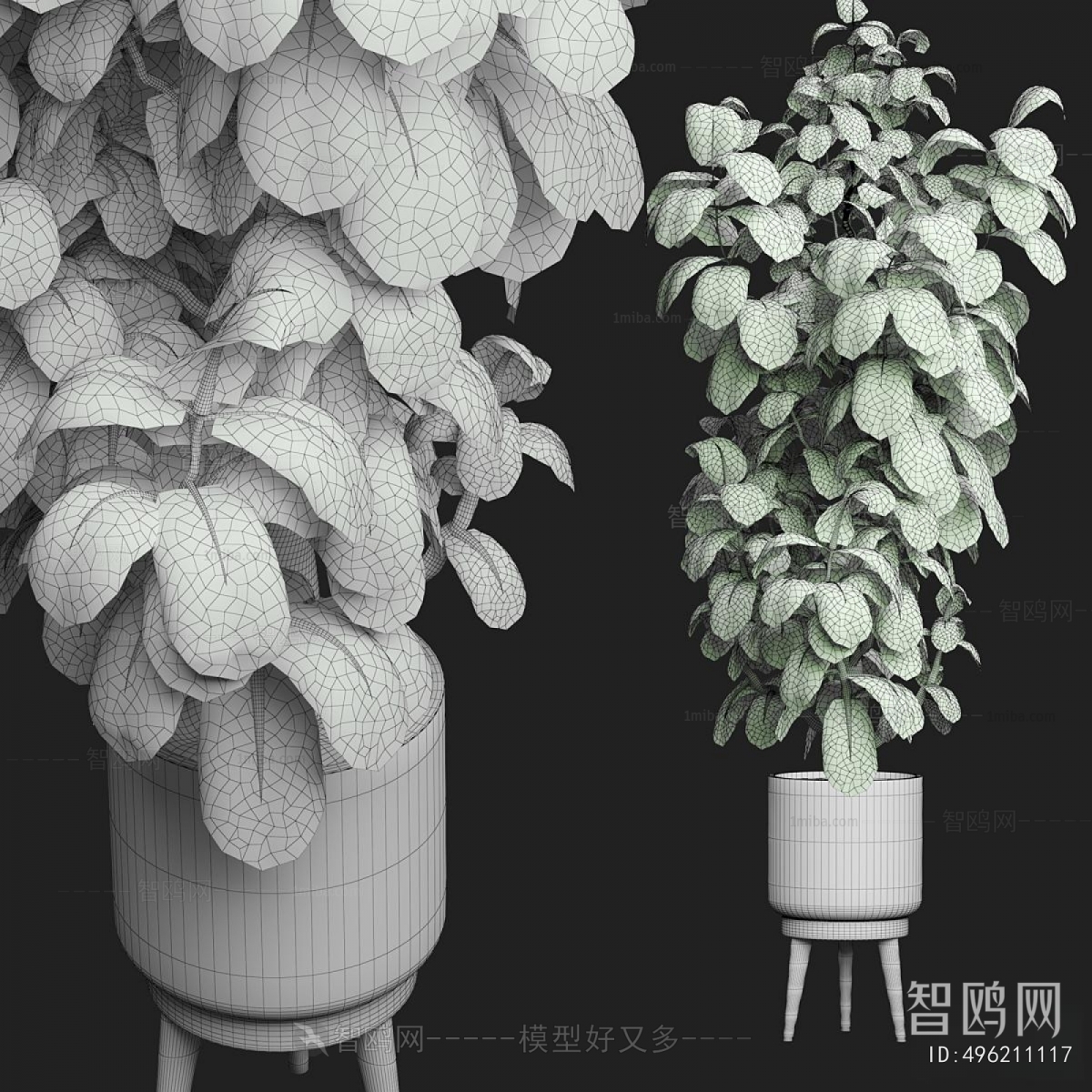 Modern Potted Green Plant