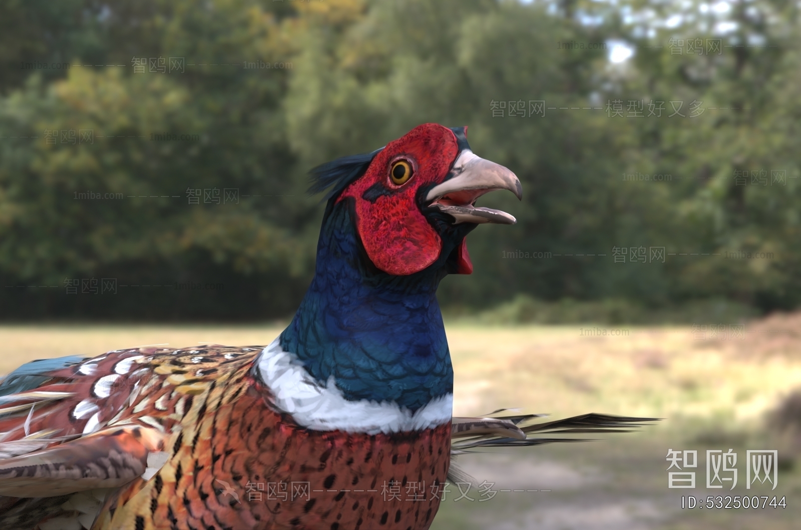 Modern Flying Animals