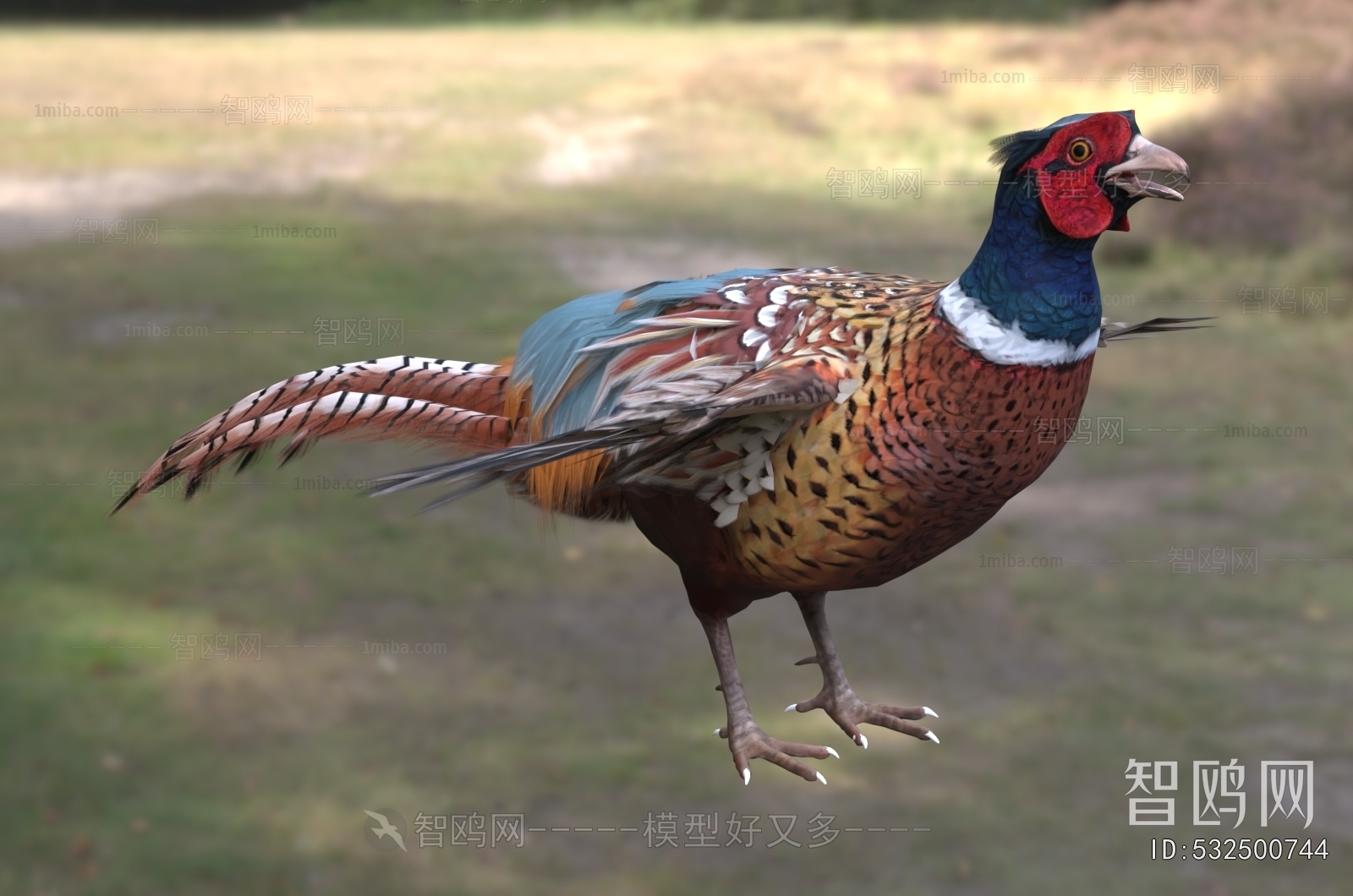 Modern Flying Animals