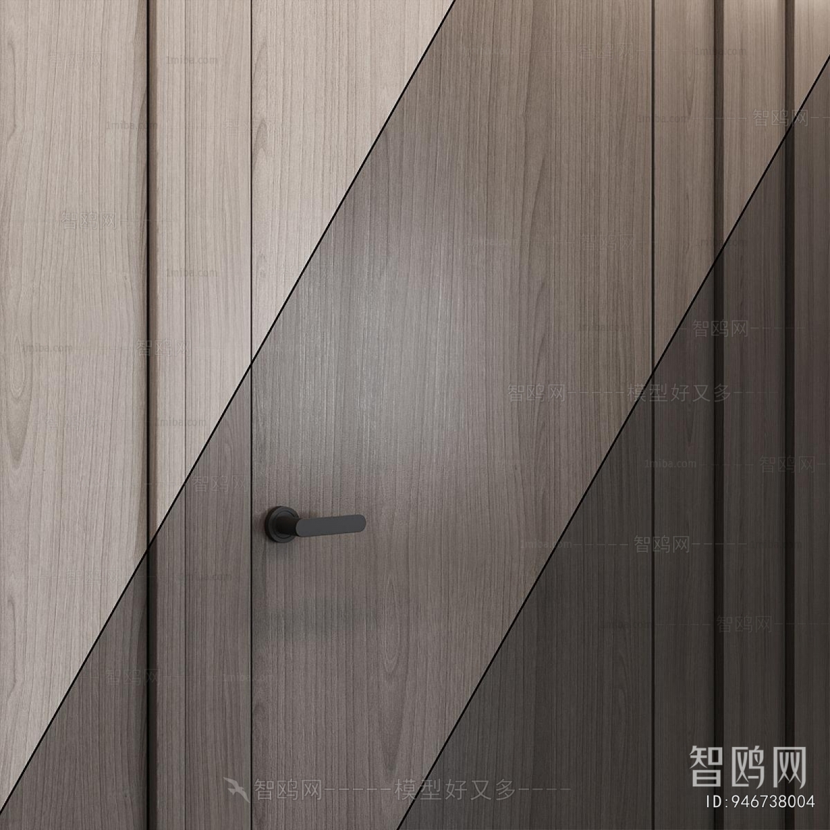 Modern Door