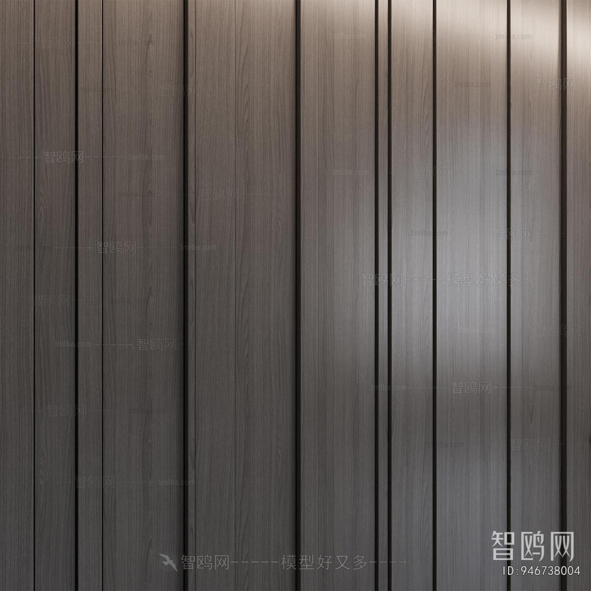 Modern Door