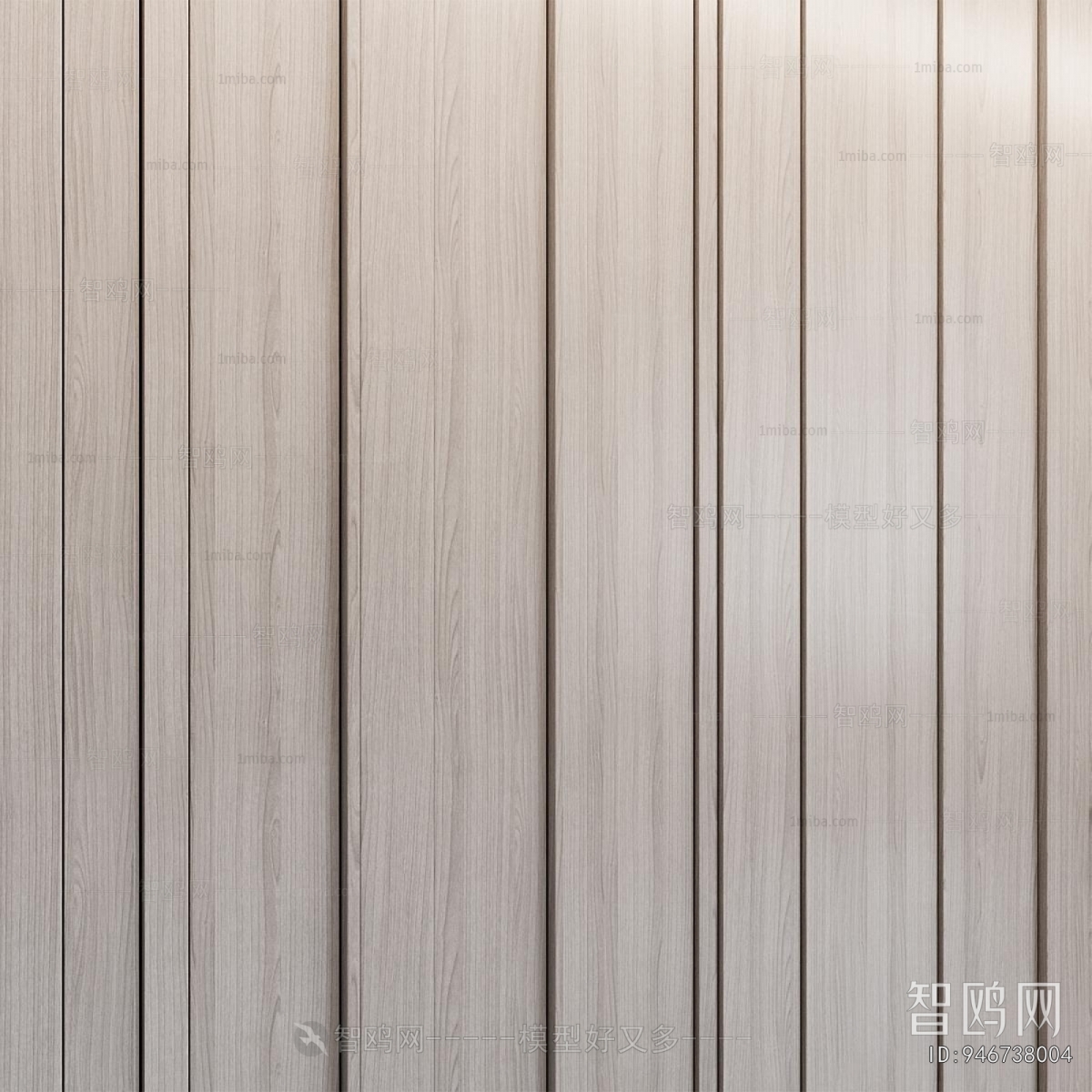 Modern Door