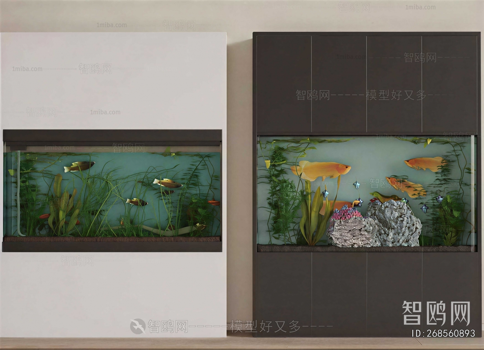 Modern Fish Tank