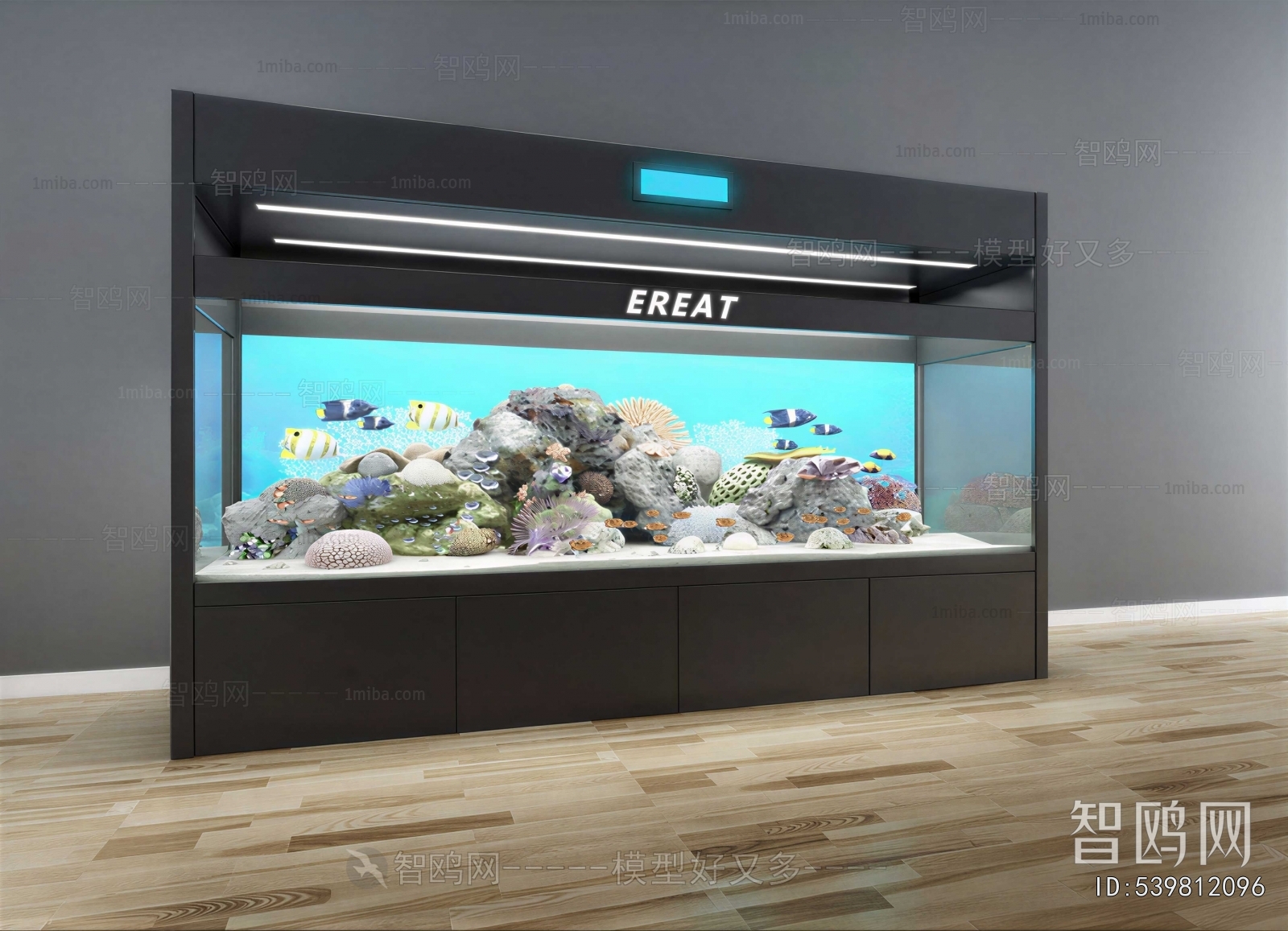 Modern Fish Tank