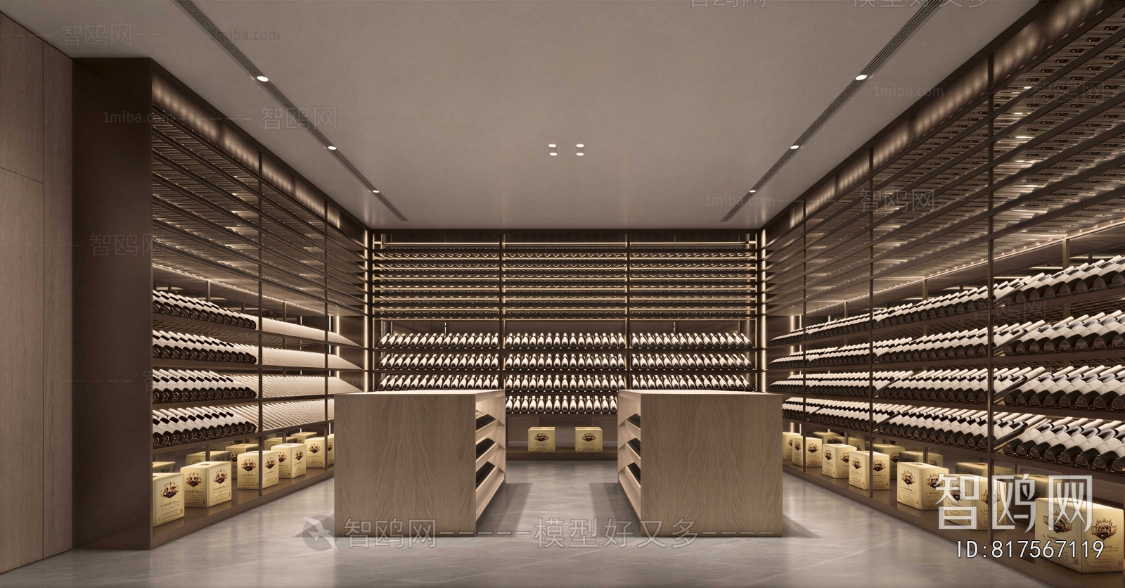 Modern Wine Cellar/Wine Tasting Room