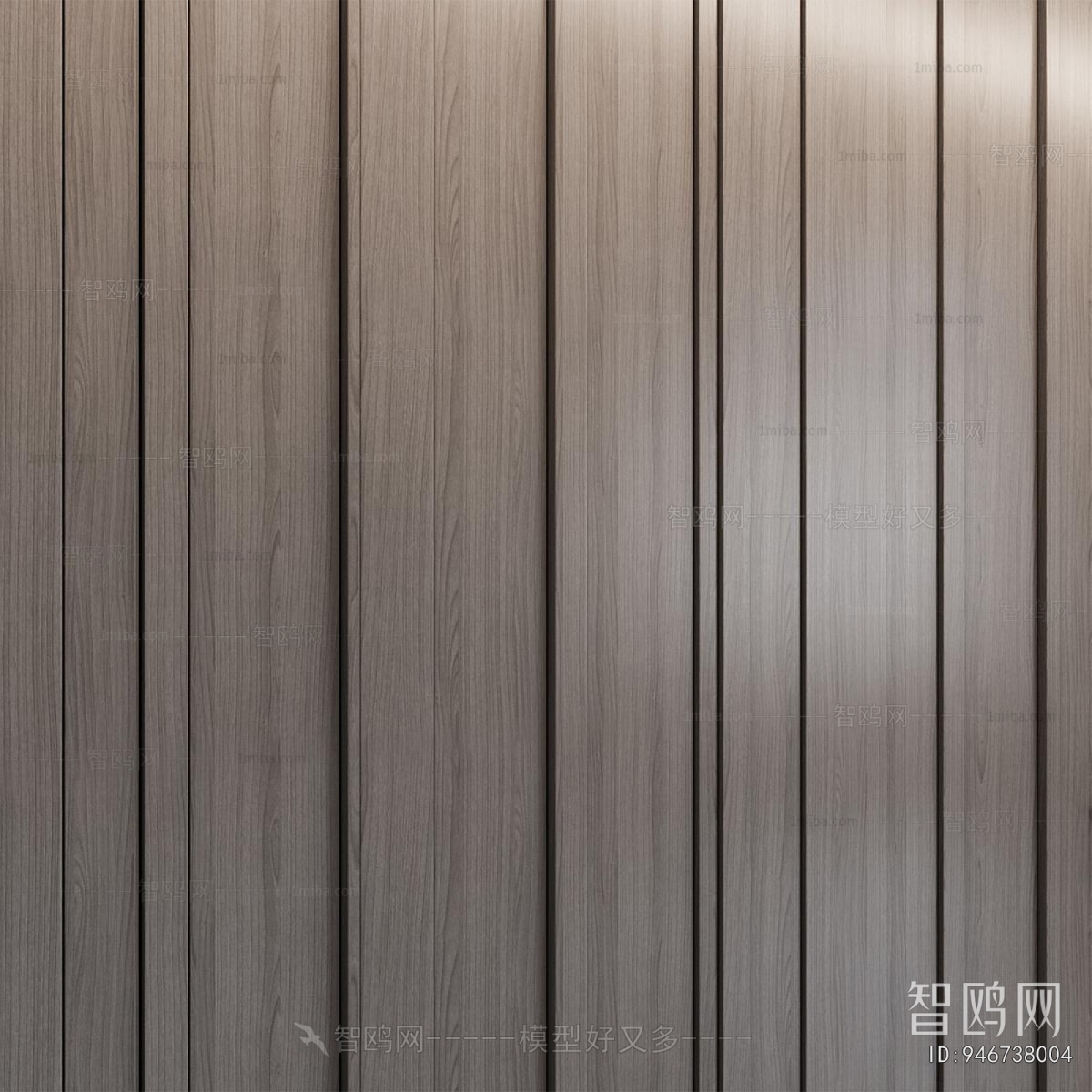 Modern Door