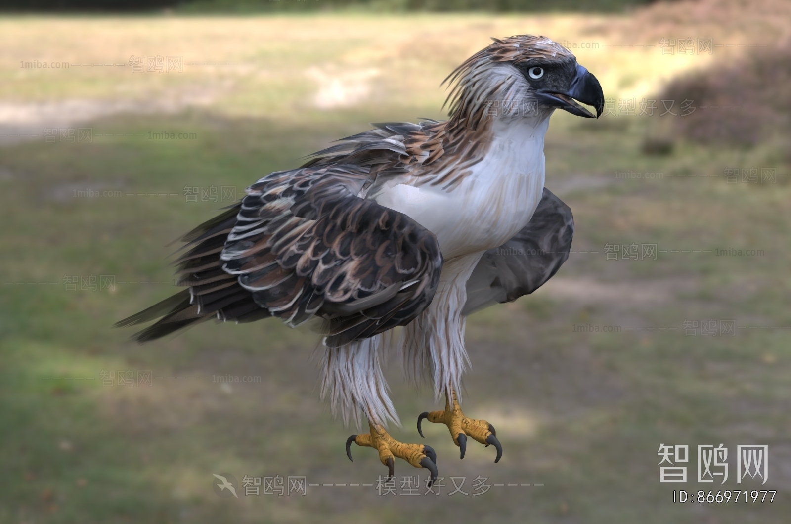 Modern Flying Animals