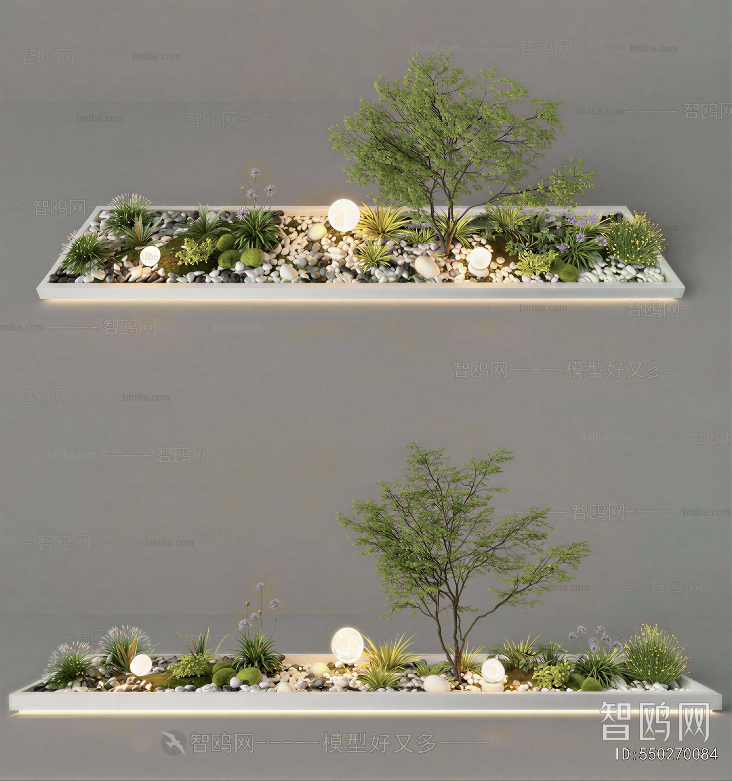 Modern Plant Landscaping