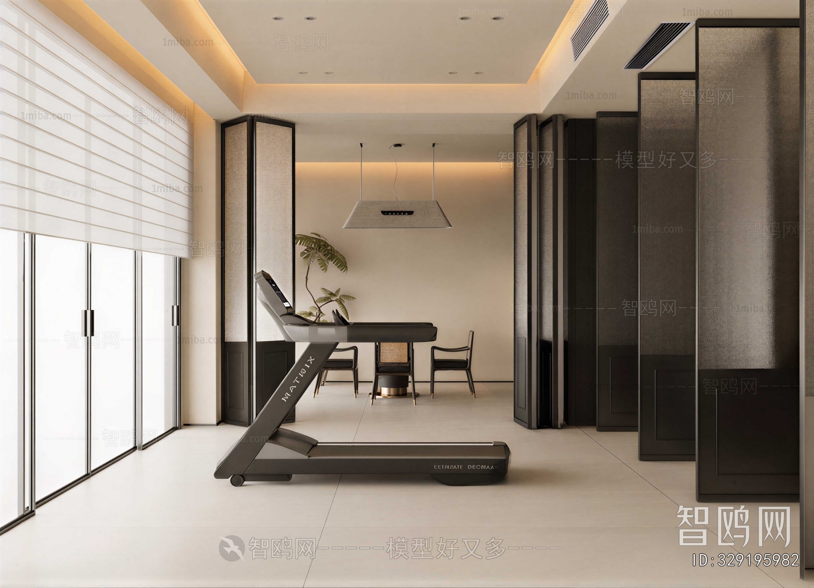 Modern Home Fitness Room