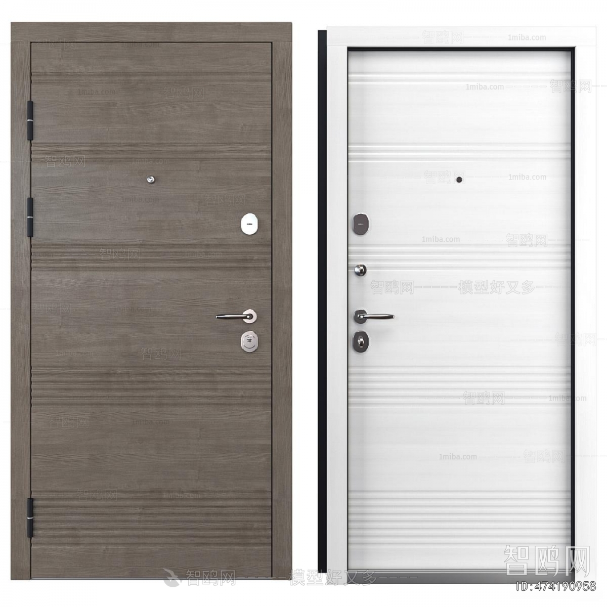Modern Entrance Door