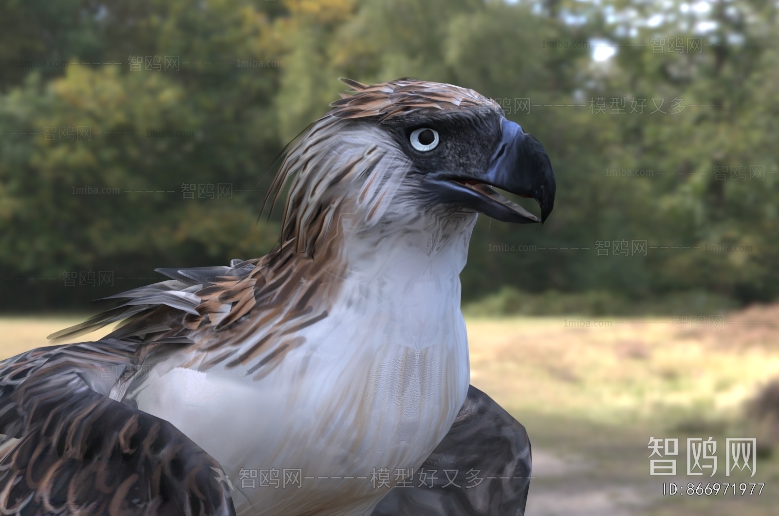Modern Flying Animals