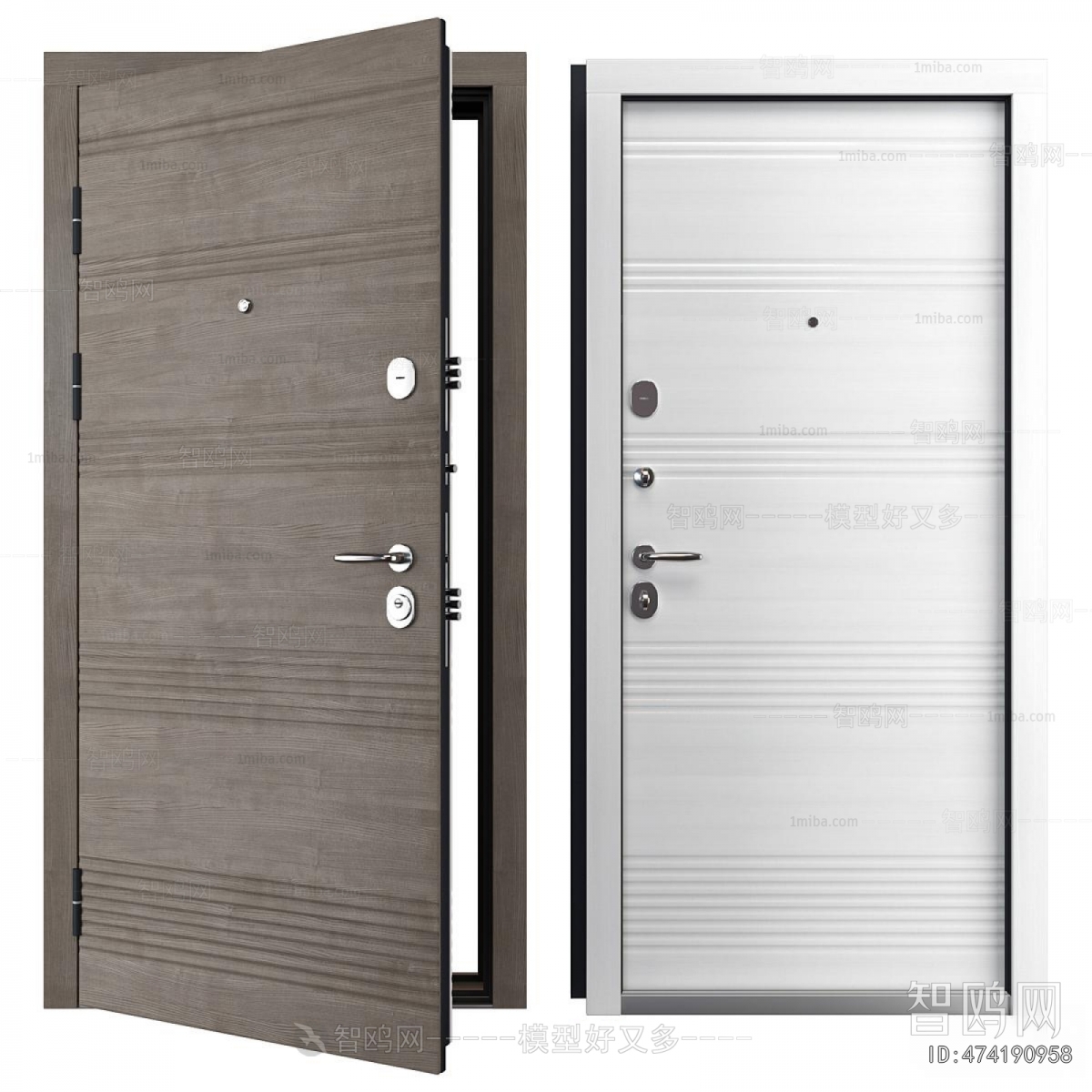 Modern Entrance Door
