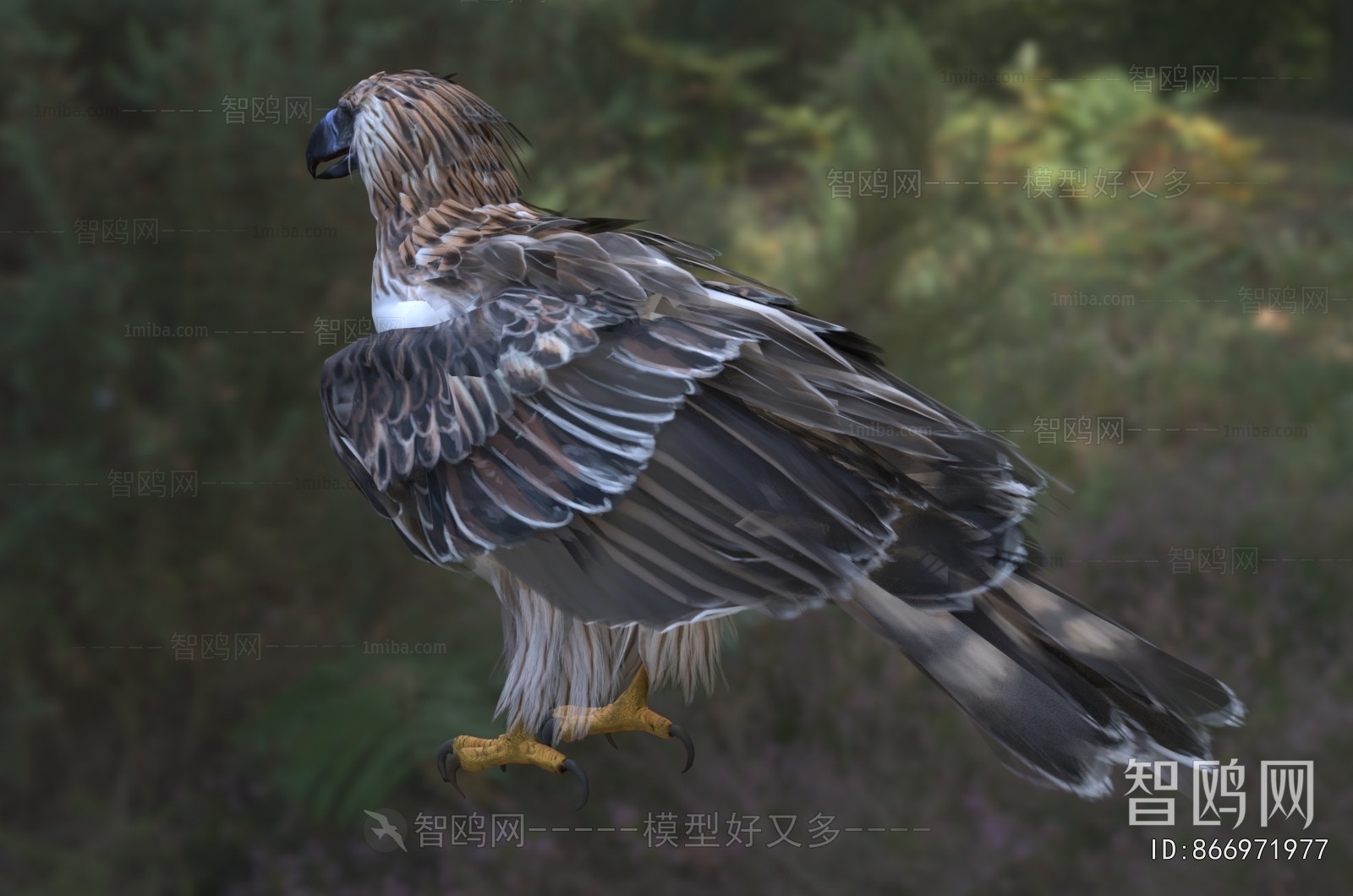 Modern Flying Animals