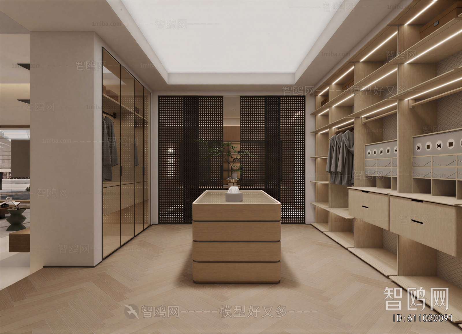 Modern Clothes Storage Area