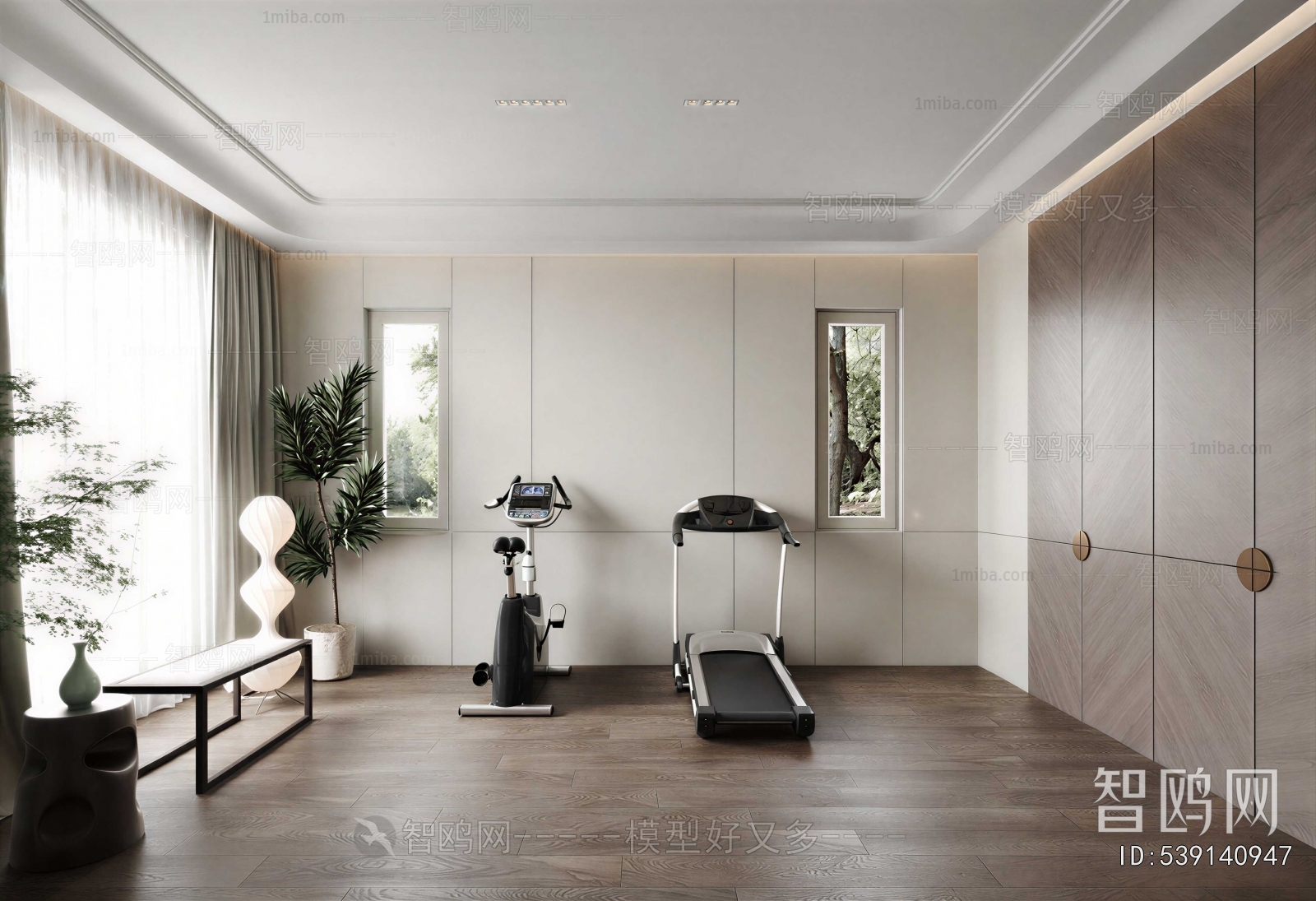 Modern Home Fitness Room
