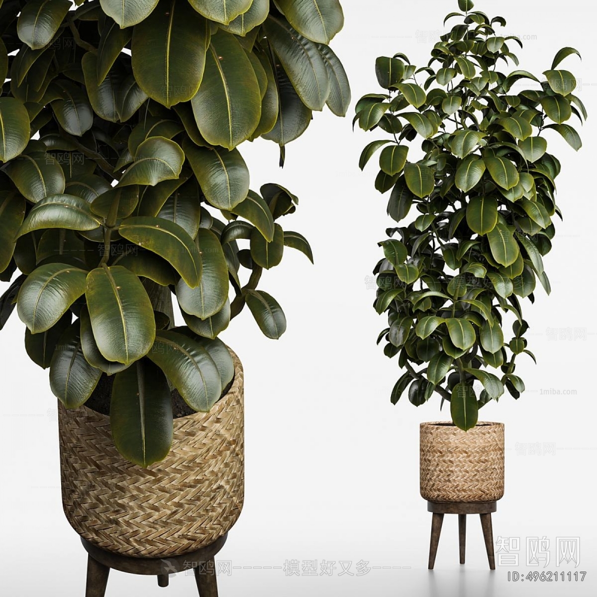 Modern Potted Green Plant