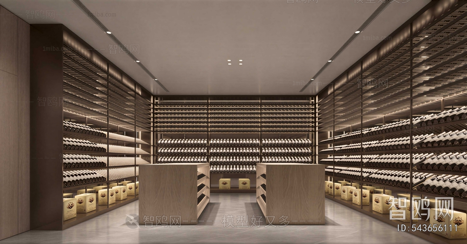 Modern Wine Cellar/Wine Tasting Room