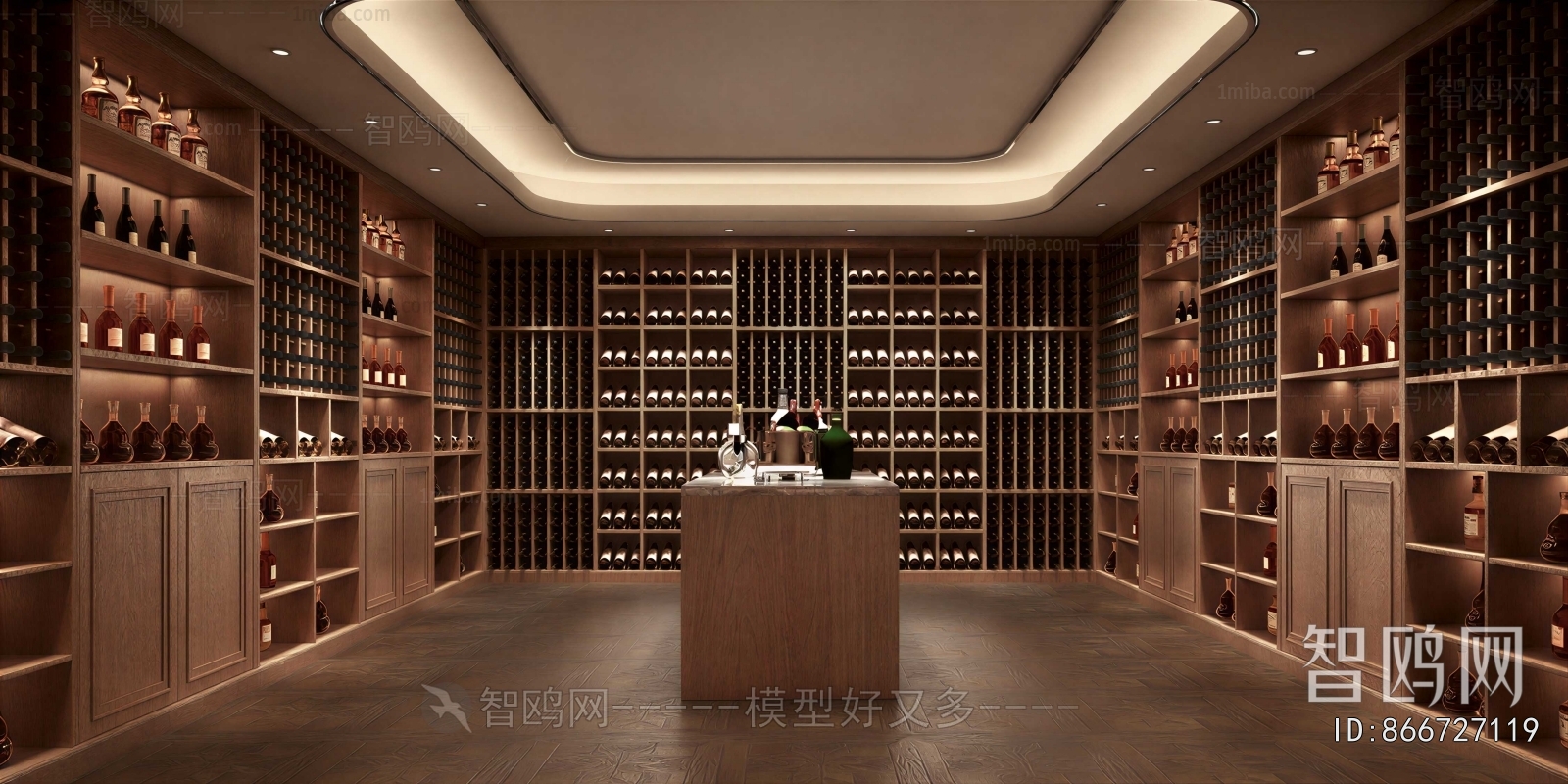 Modern Wine Cellar/Wine Tasting Room