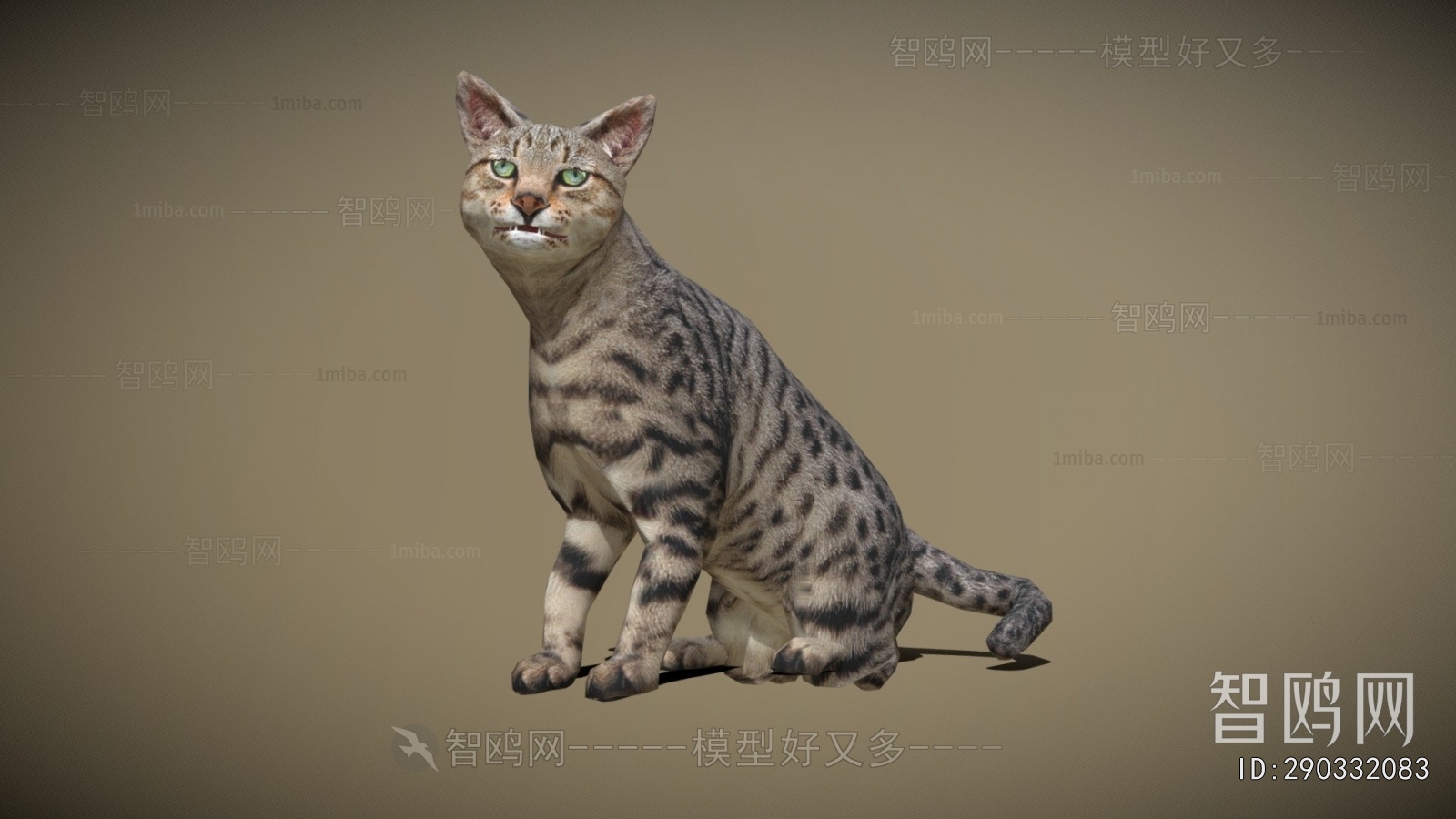 Modern Animal Cat