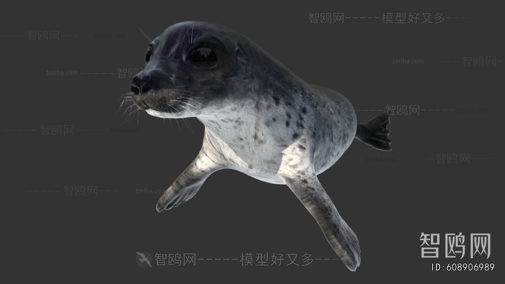 Modern Aquatic Animals