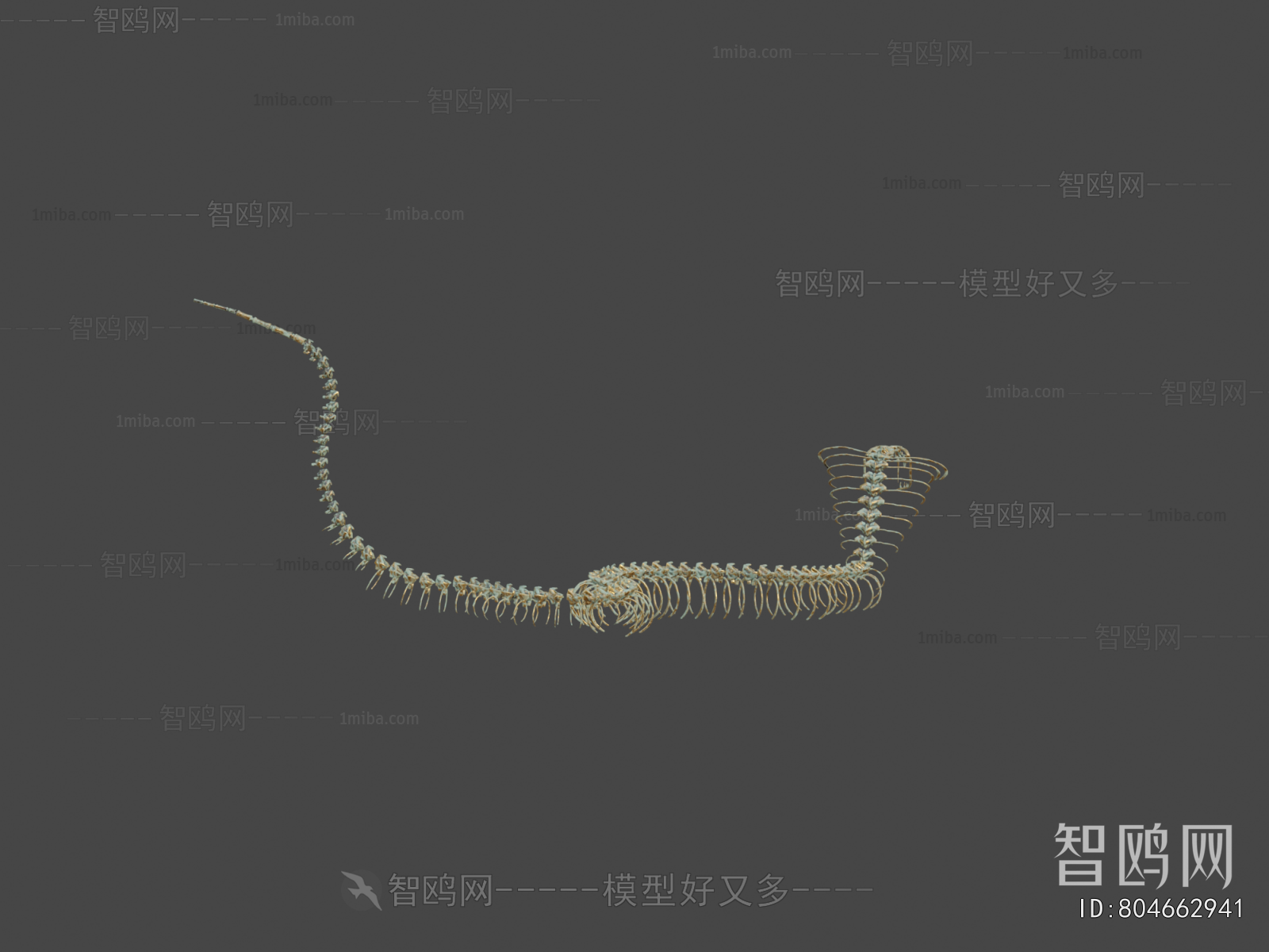 Modern Medical Equipment