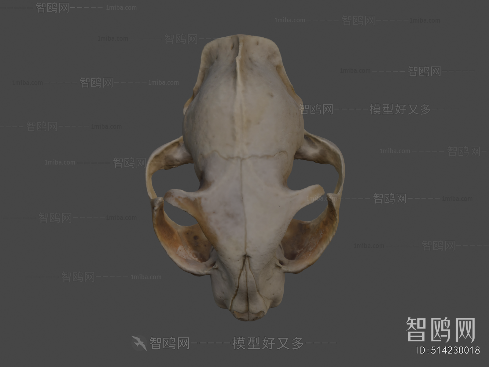 Modern Medical Equipment