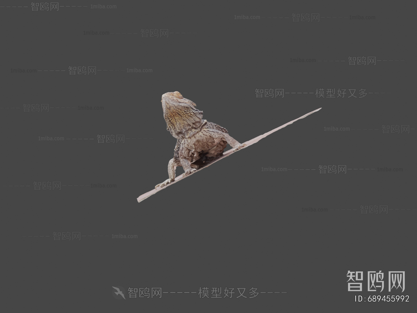 Modern Animal