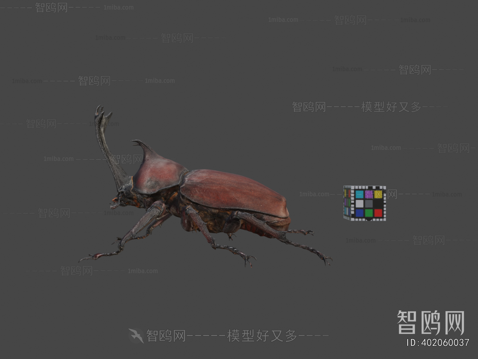 Modern Animal