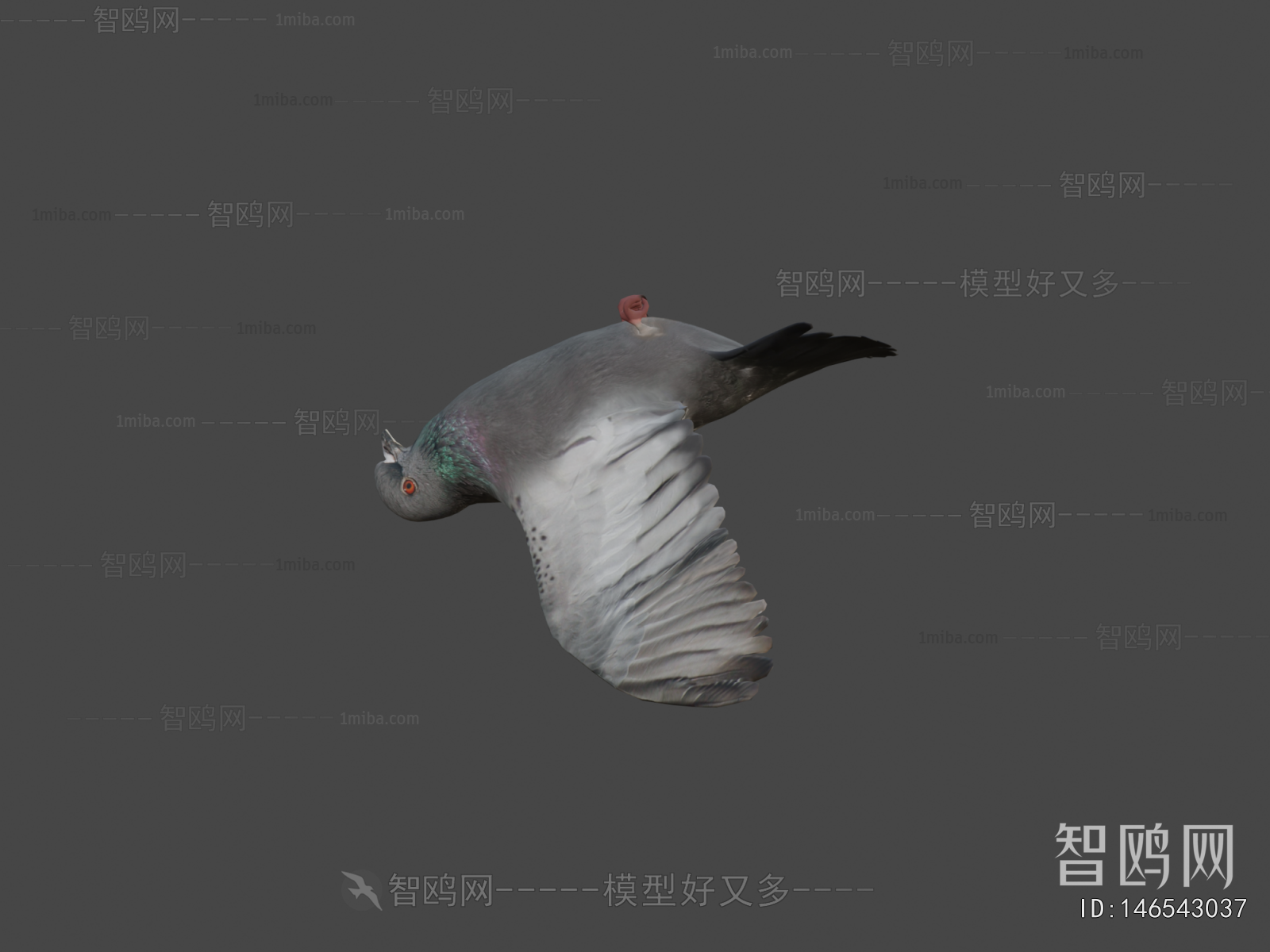 Modern Animal