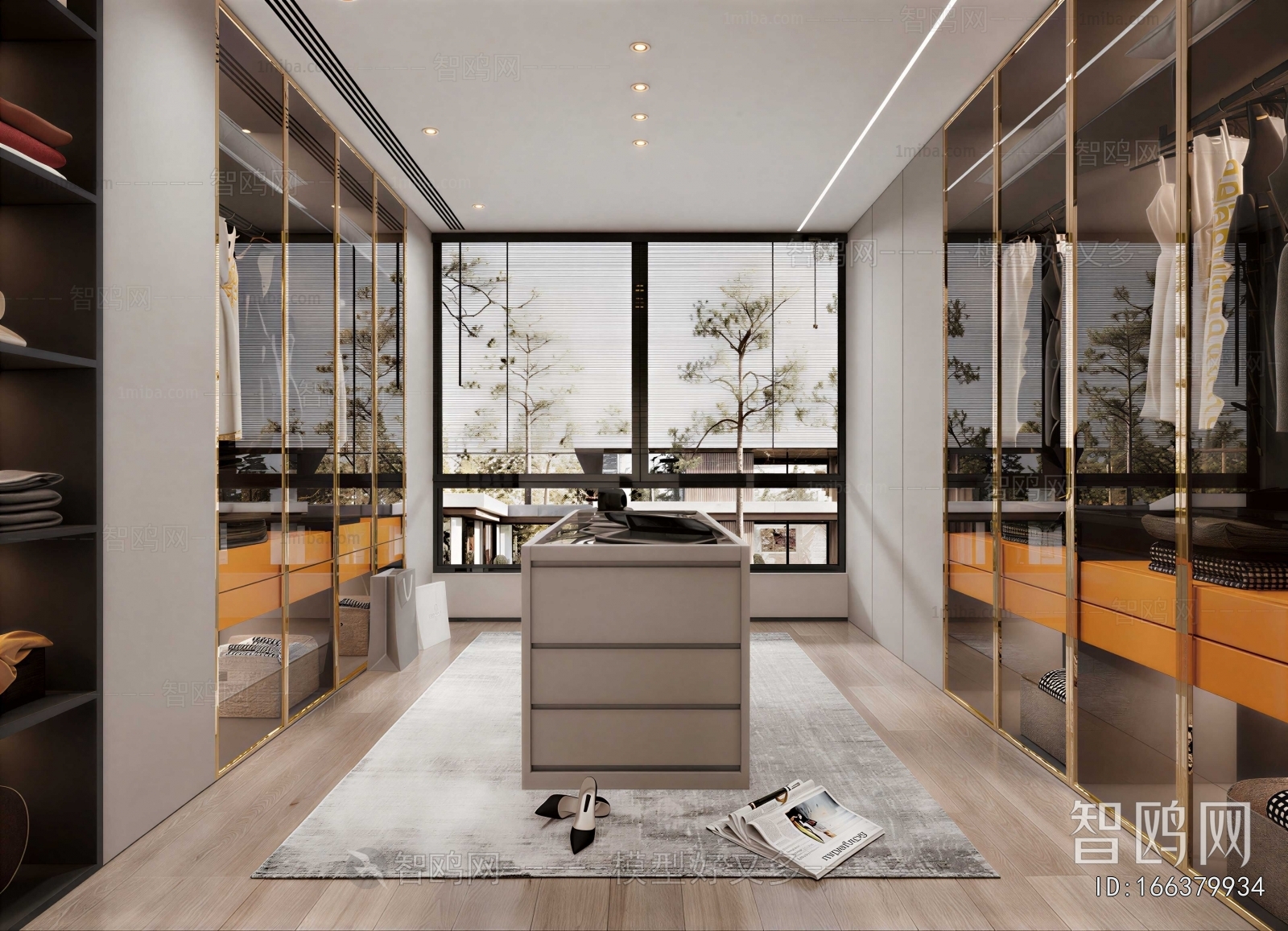 Modern Clothes Storage Area