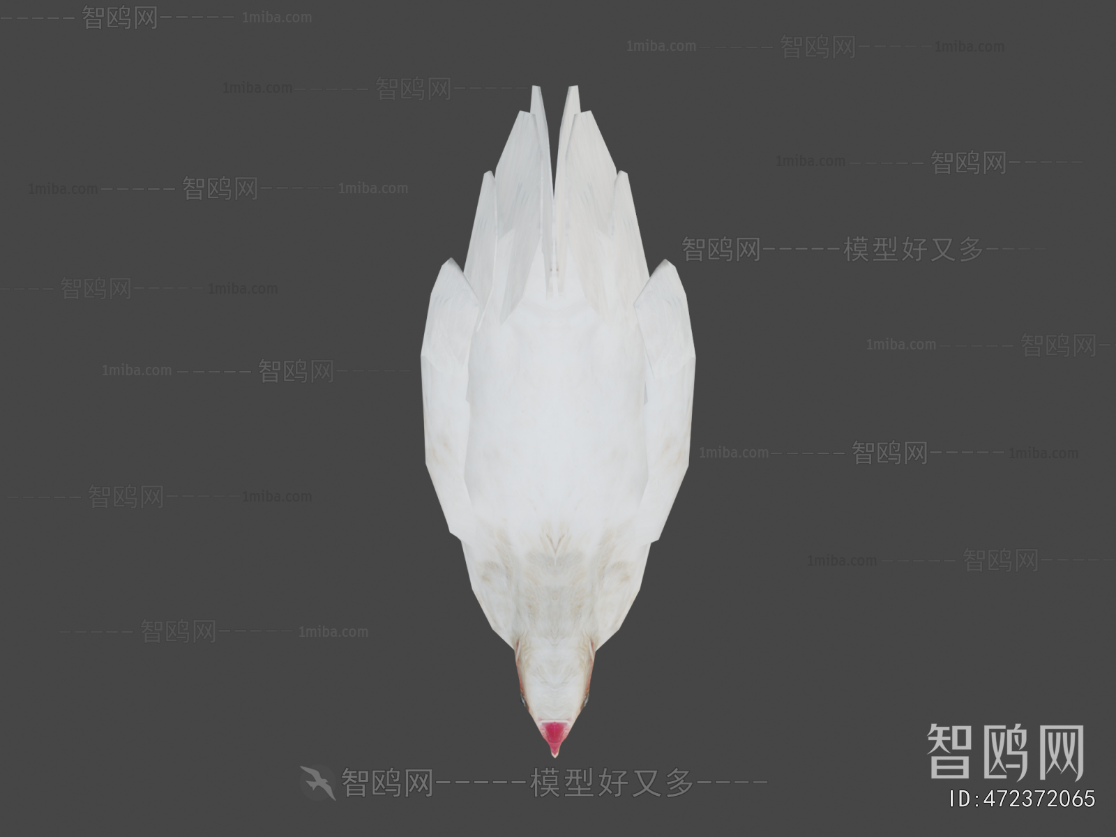 Modern Poultry Animal