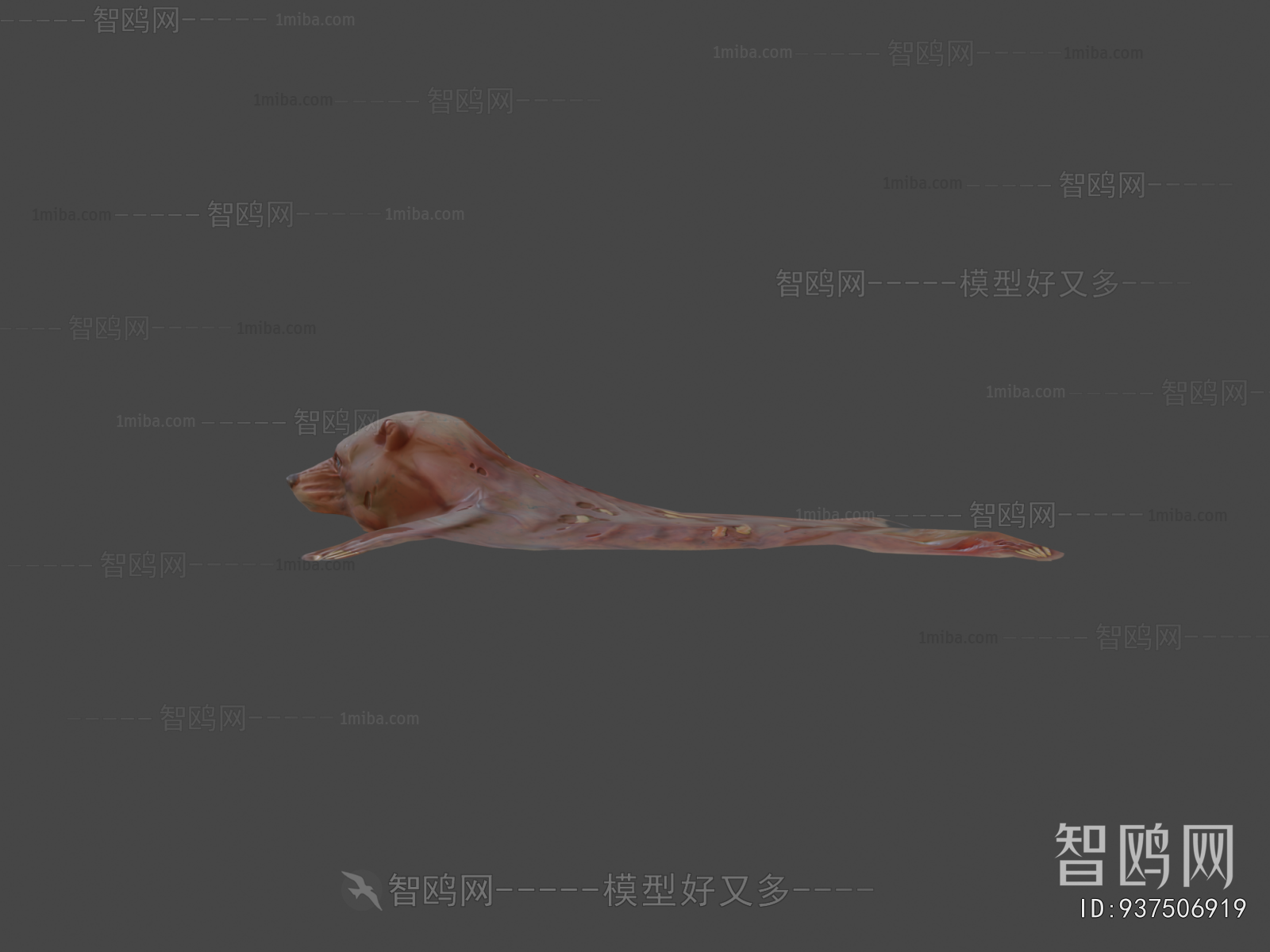 Modern Animal