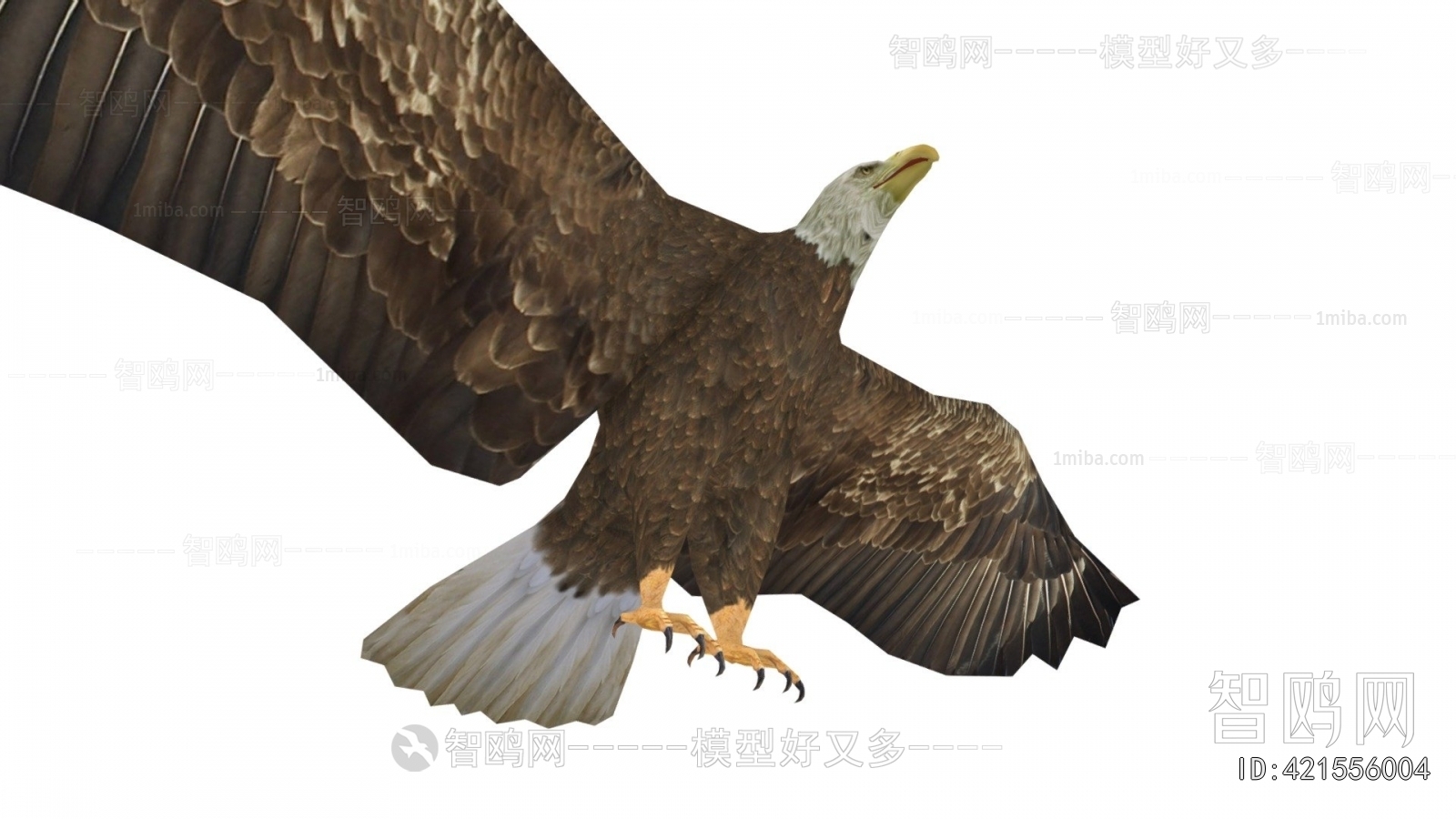 Modern Animal