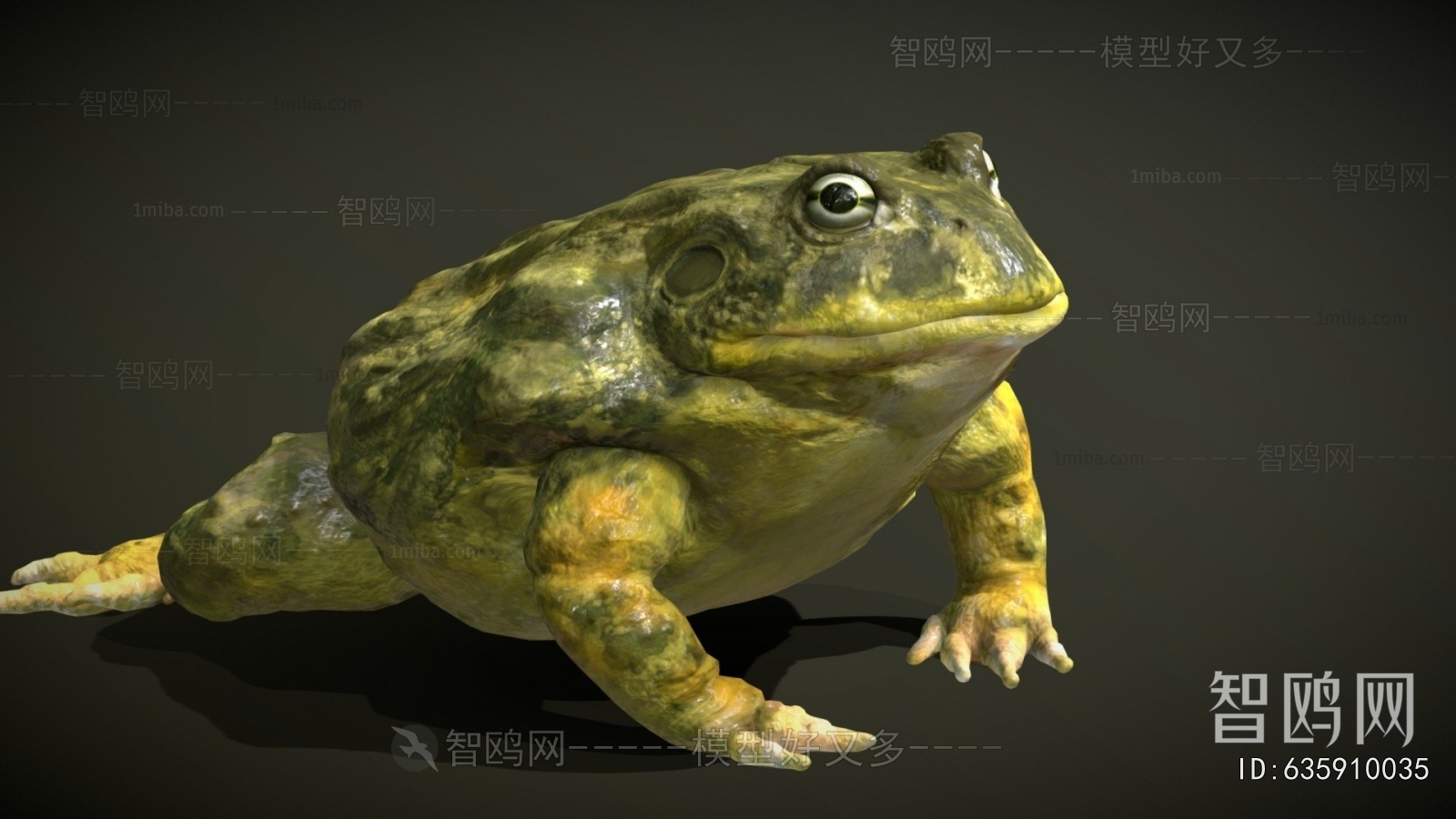 Modern Reptile