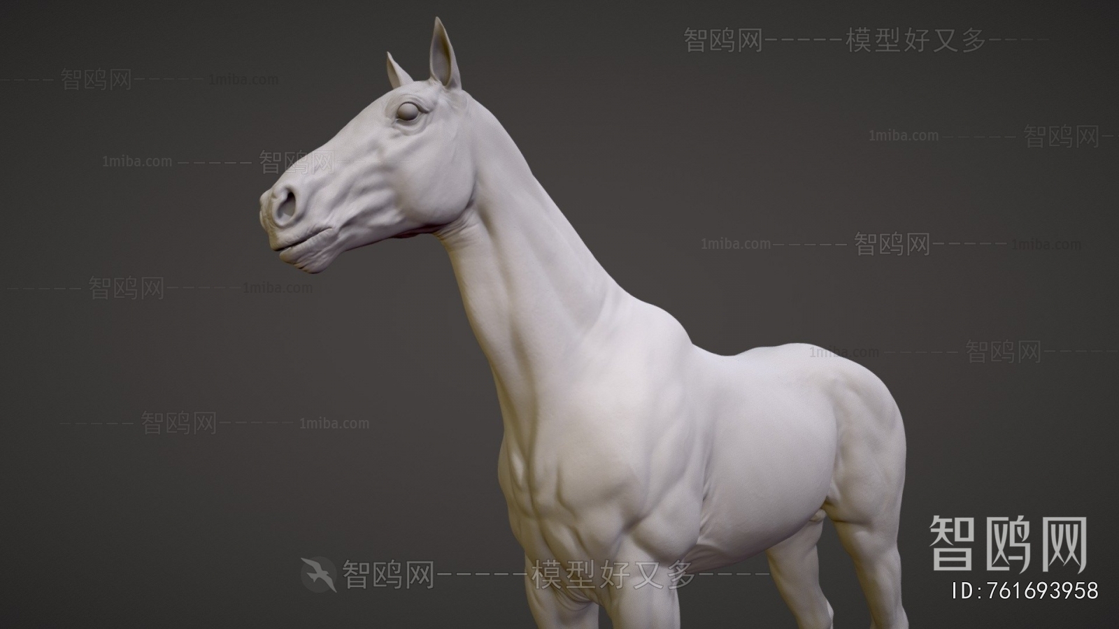 Modern Animal