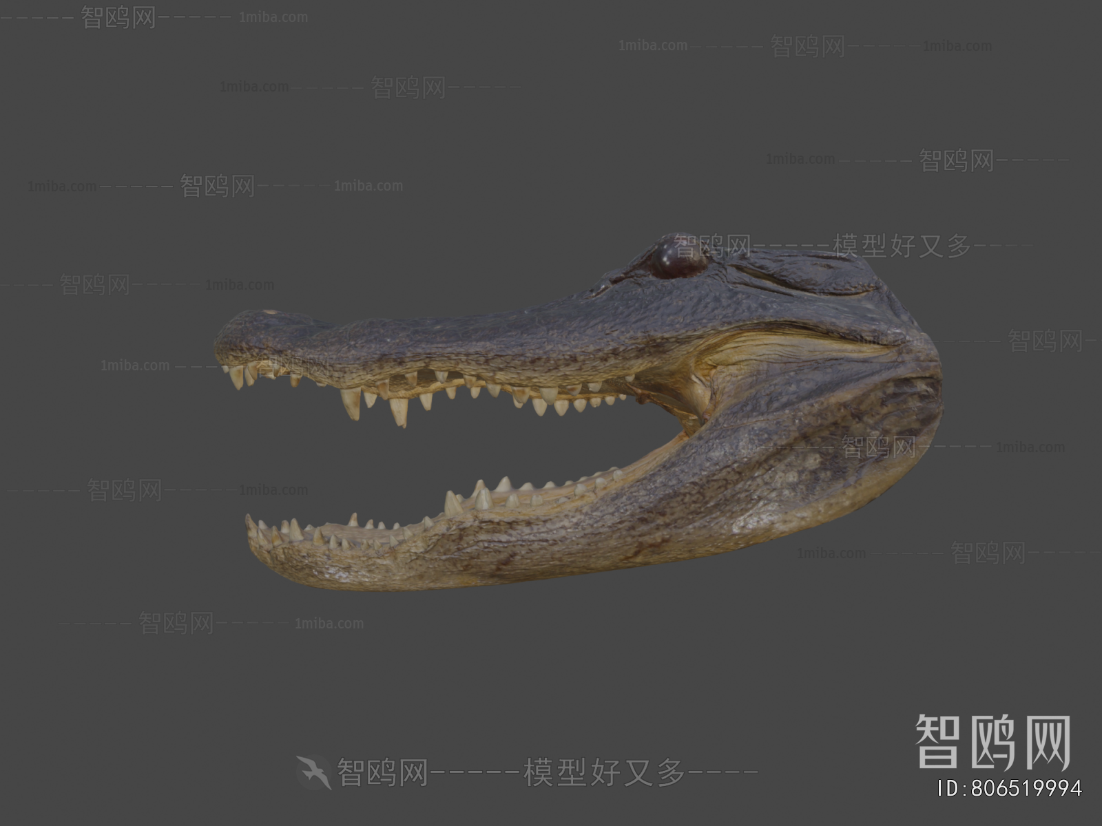 Modern Reptile