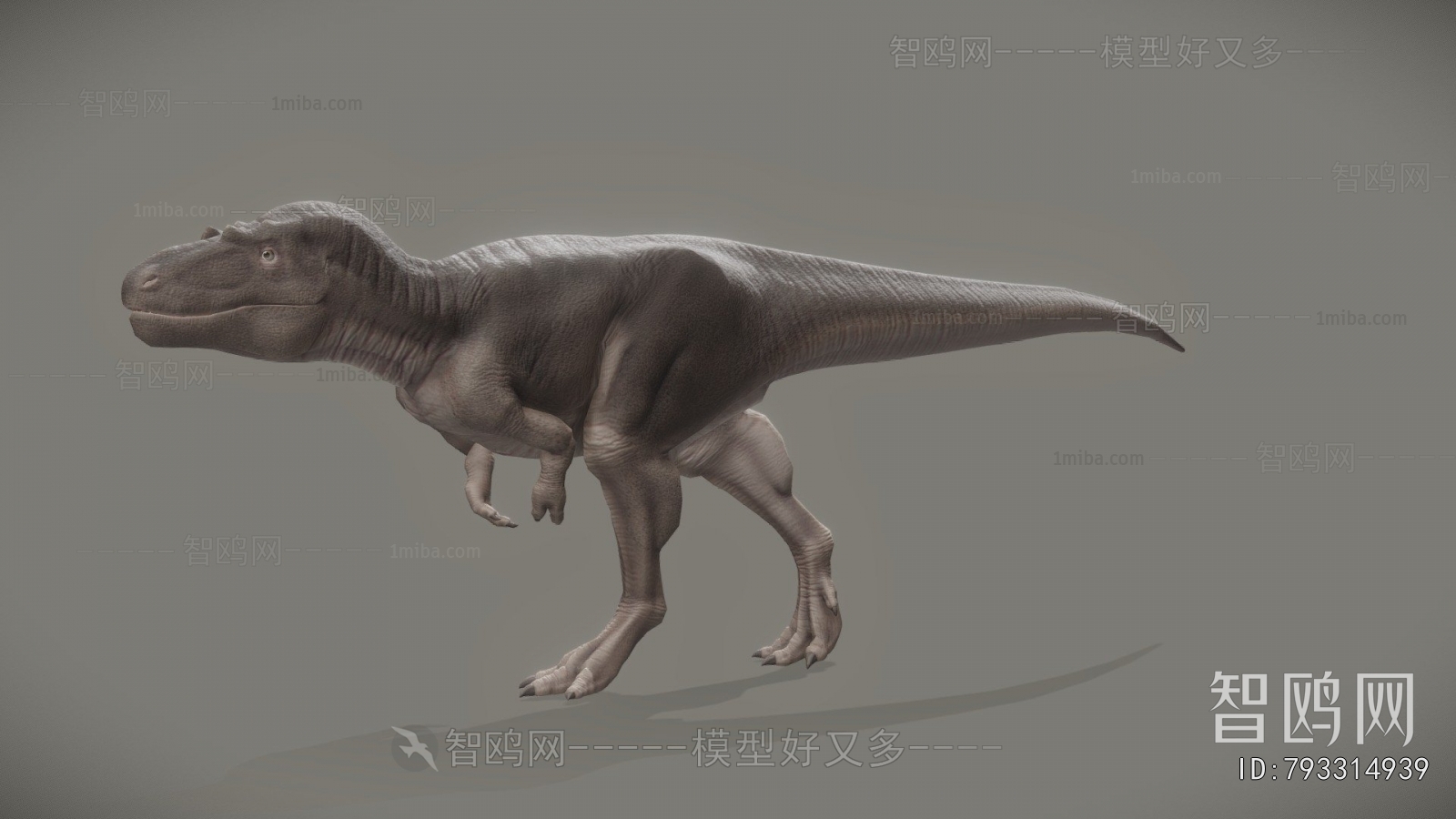 Modern Animal