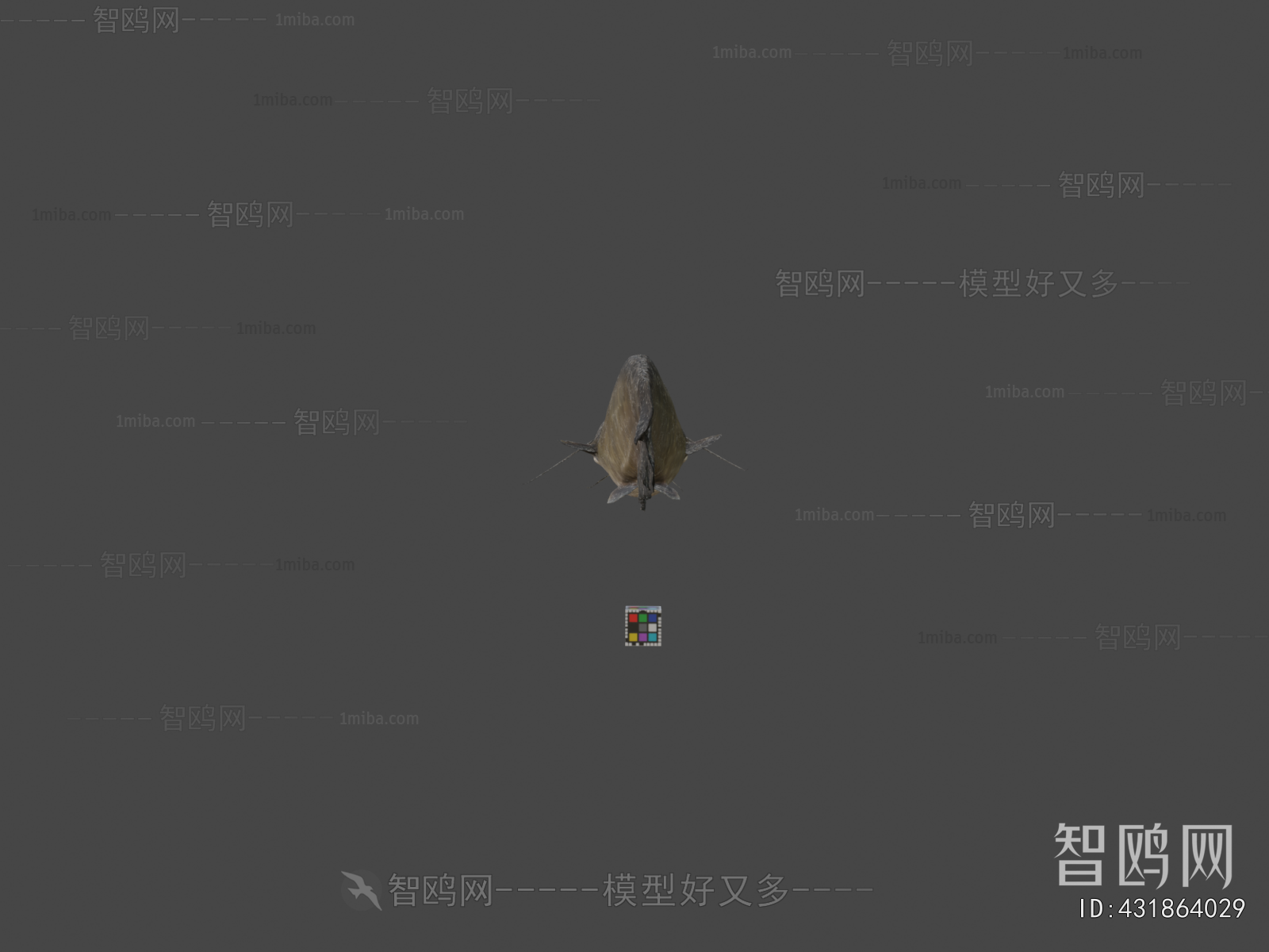Modern Animal