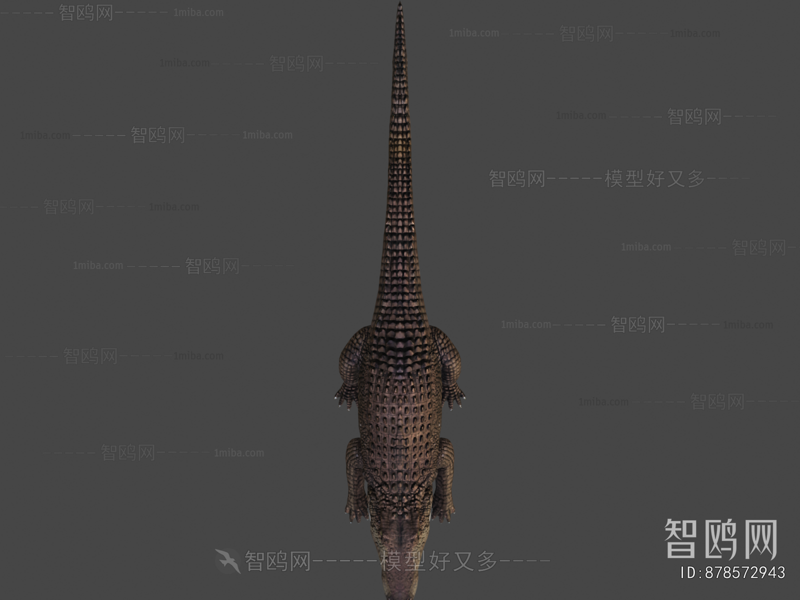 Modern Animal