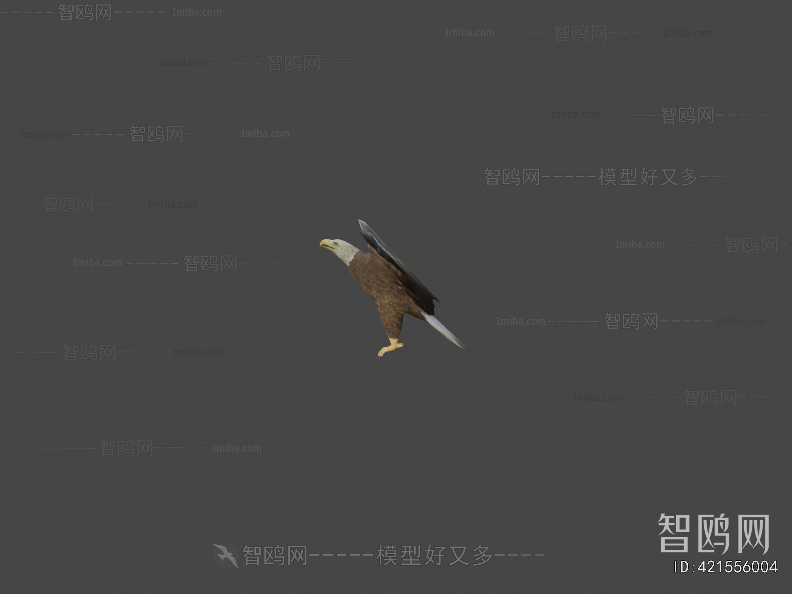 Modern Animal