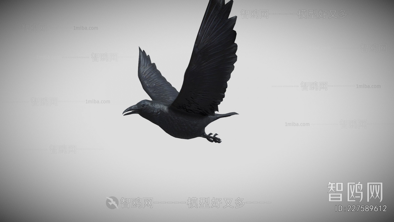 Modern Flying Animals
