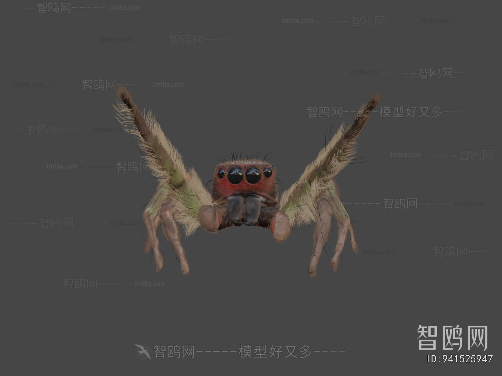 Modern Animal