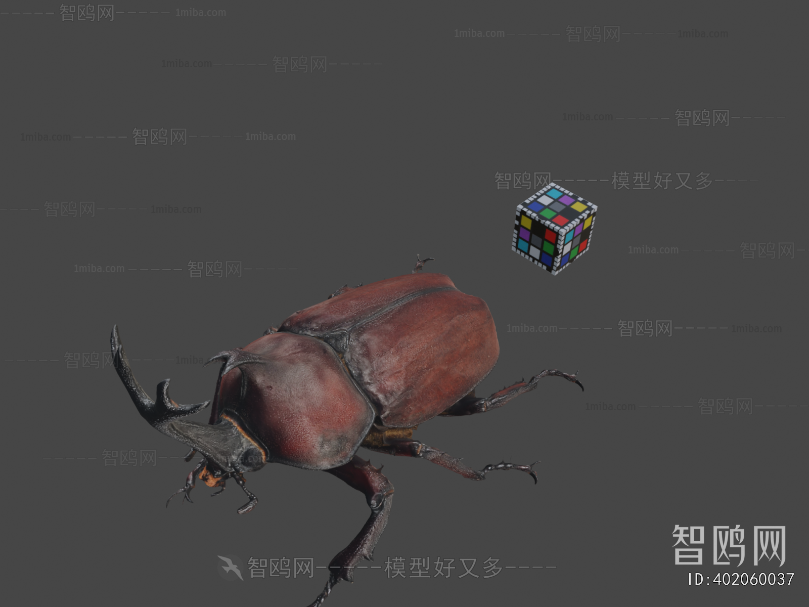 Modern Animal