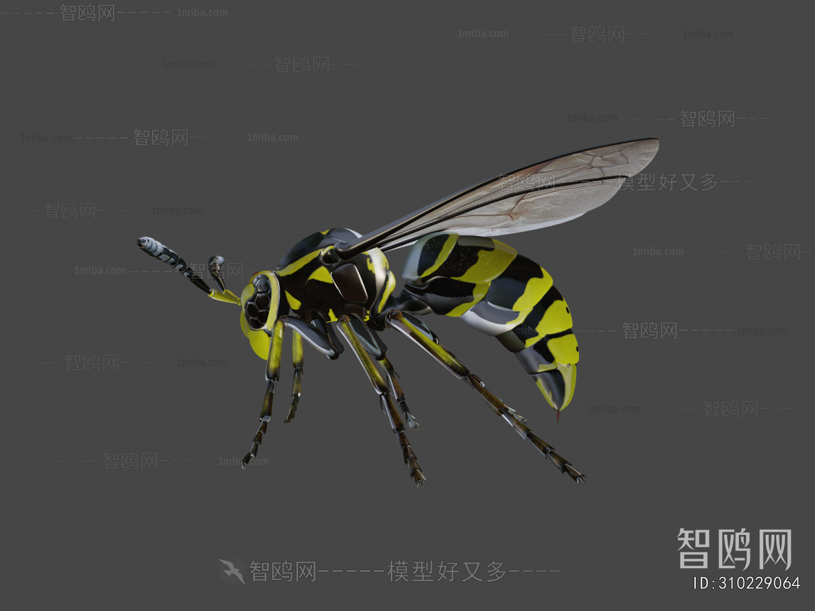 Modern Animal