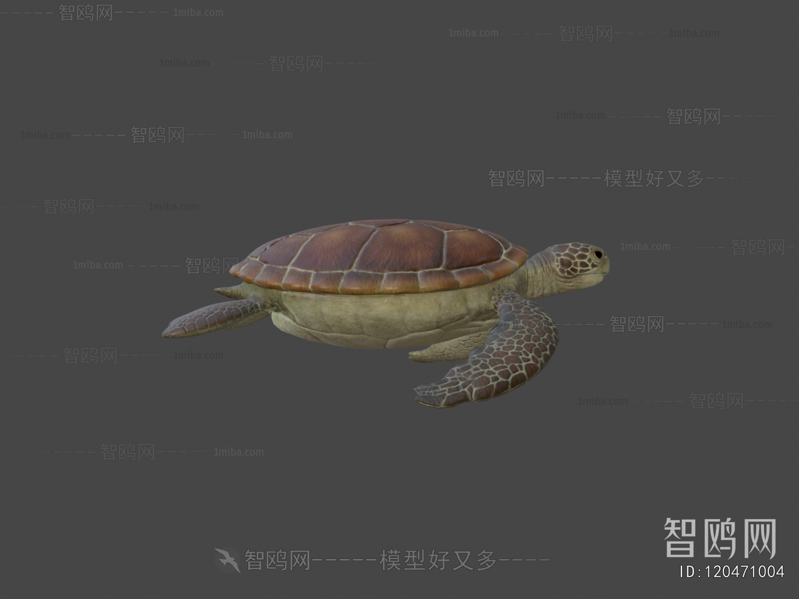 Modern Animal