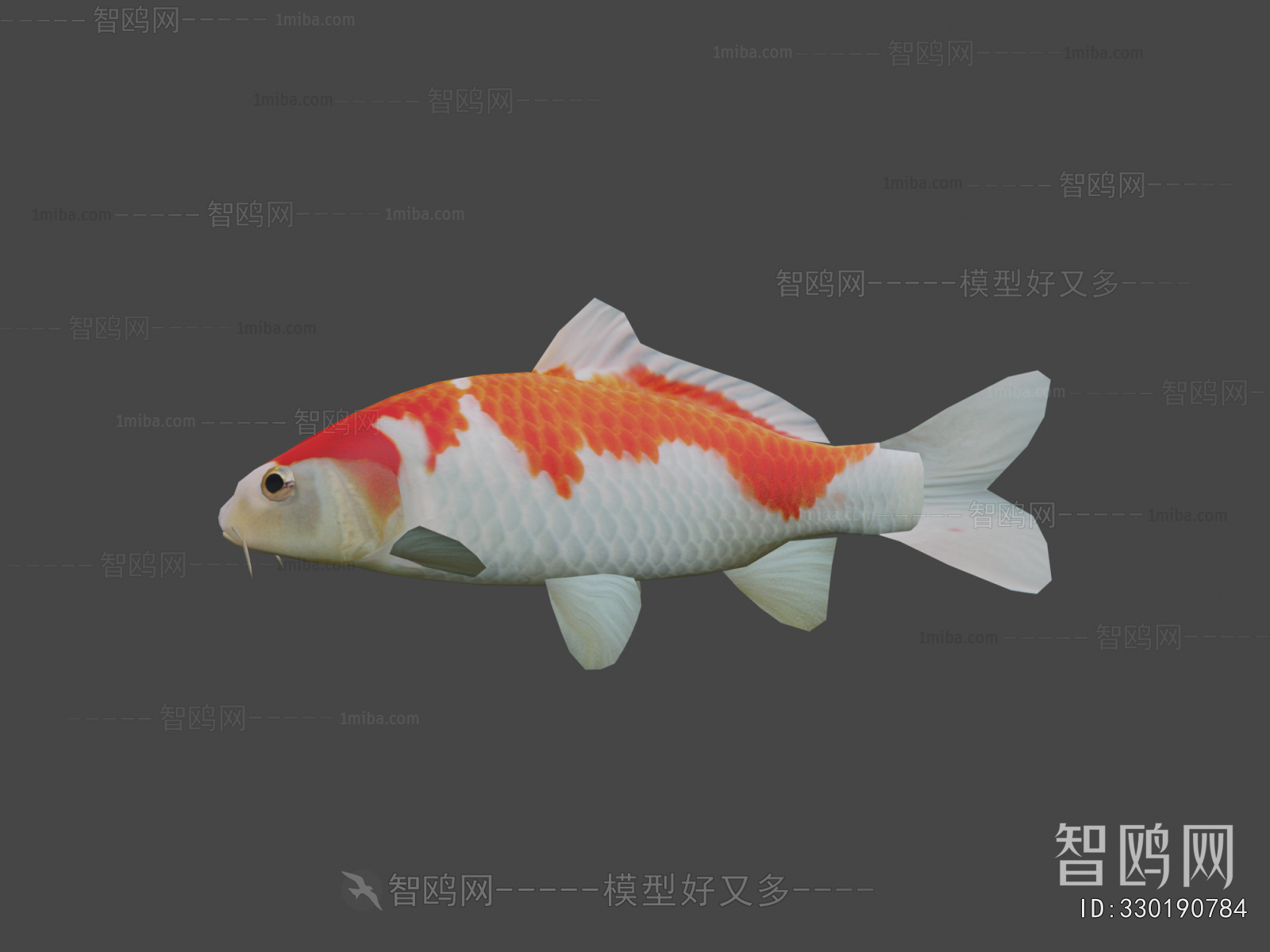Modern Aquatic Animals