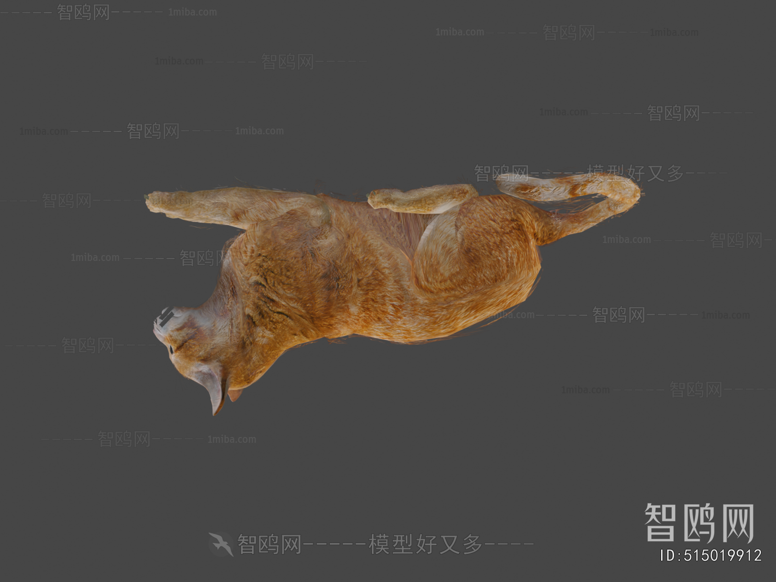 Modern Animal Cat