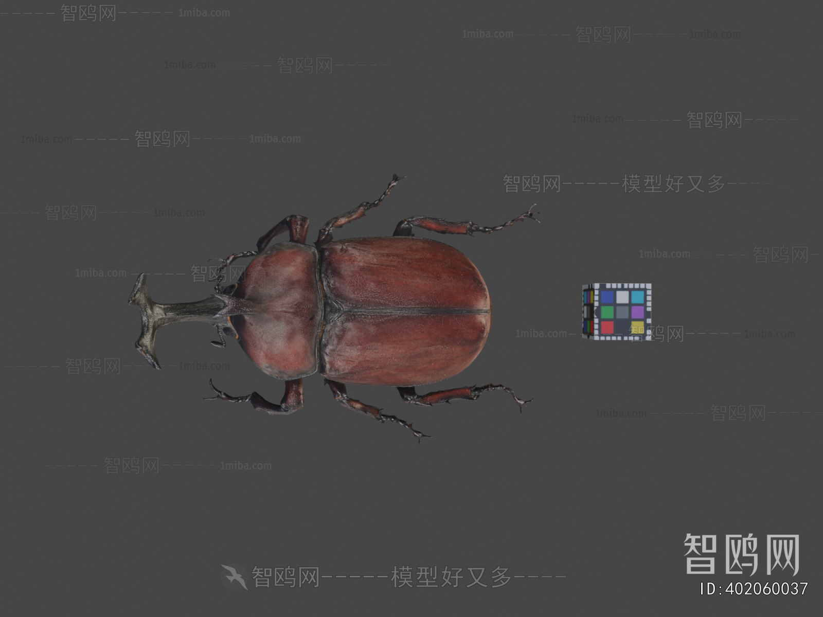Modern Animal